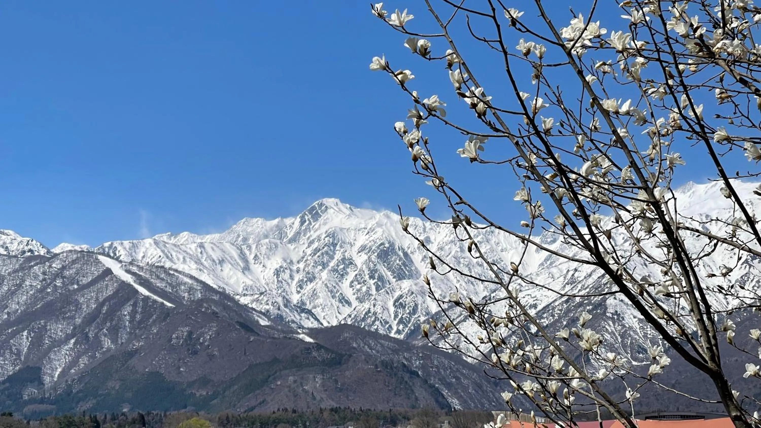 Nearby landmark in Hotel Sejour Mint in Hakuba