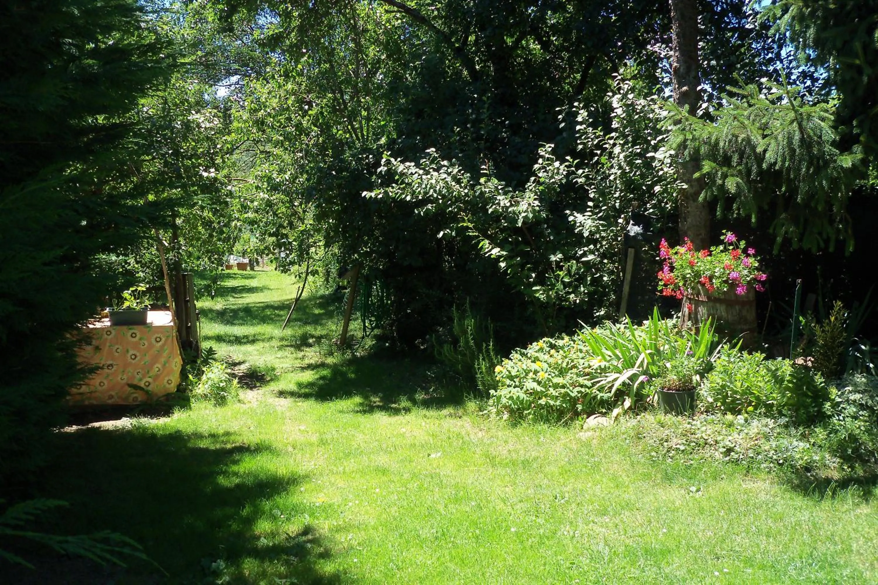 Property building in Borgoeden