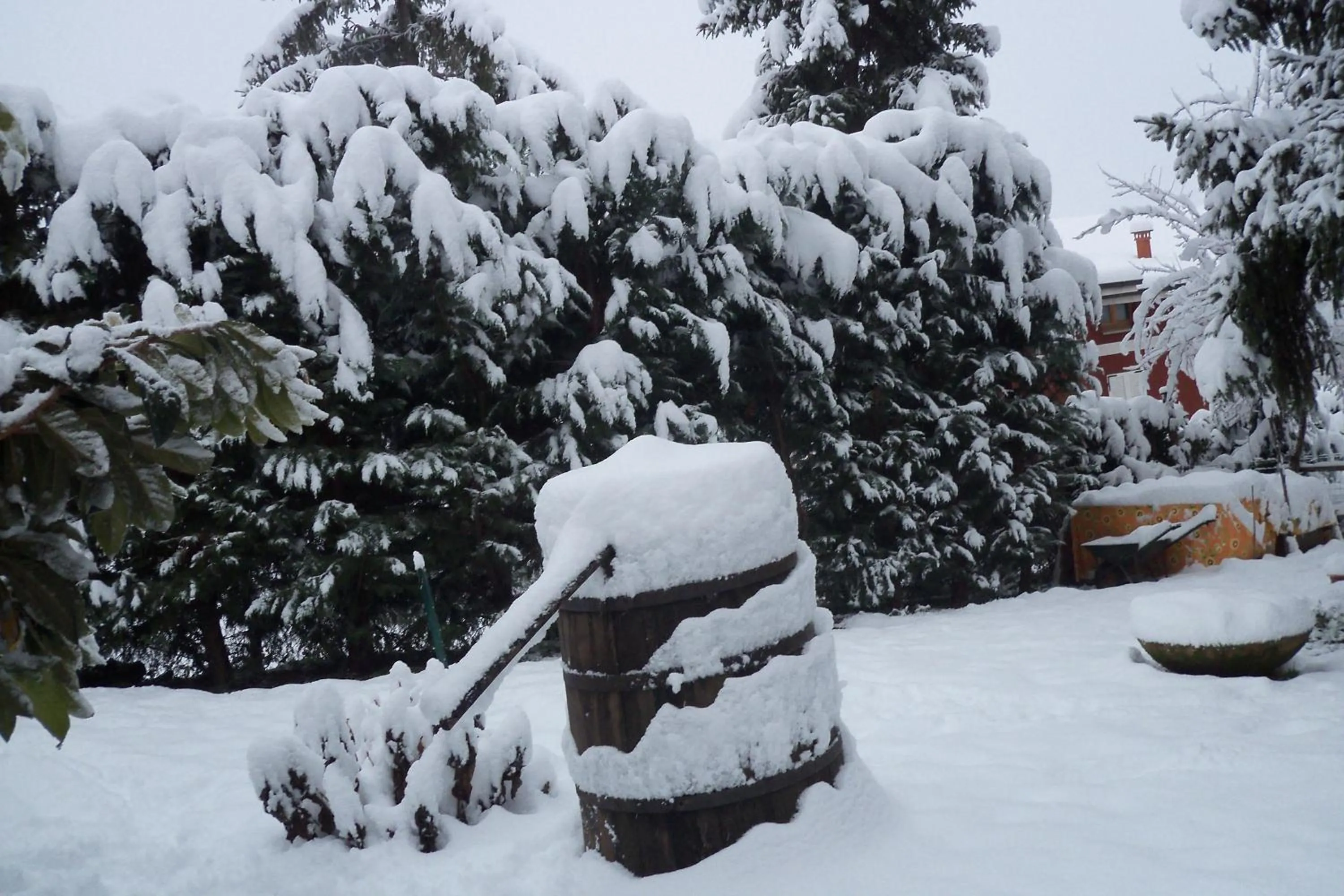 Natural landscape in Borgoeden