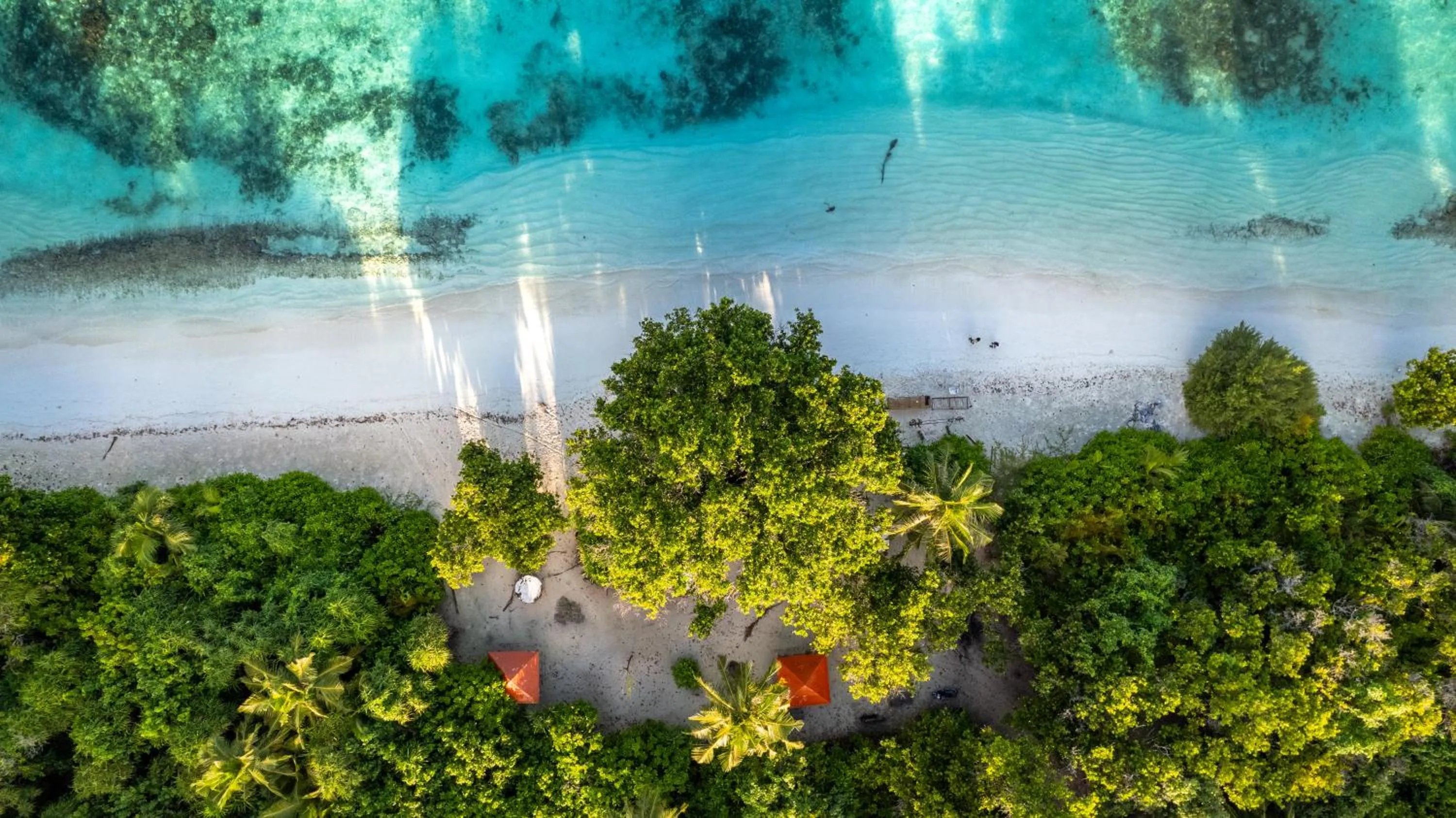 Nearby landmark in Whaleshark Beach