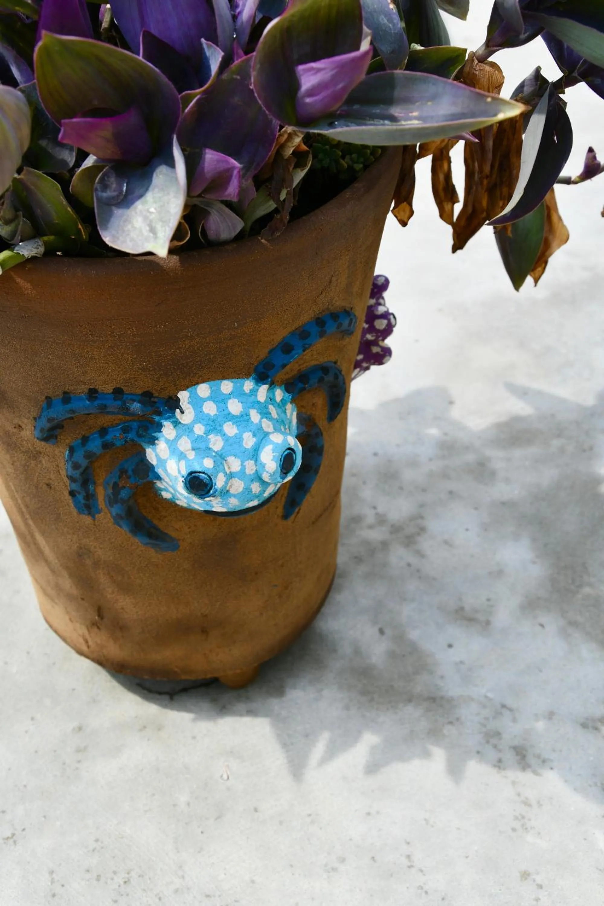 Swimming pool in Tal Vez Boutique Hotel