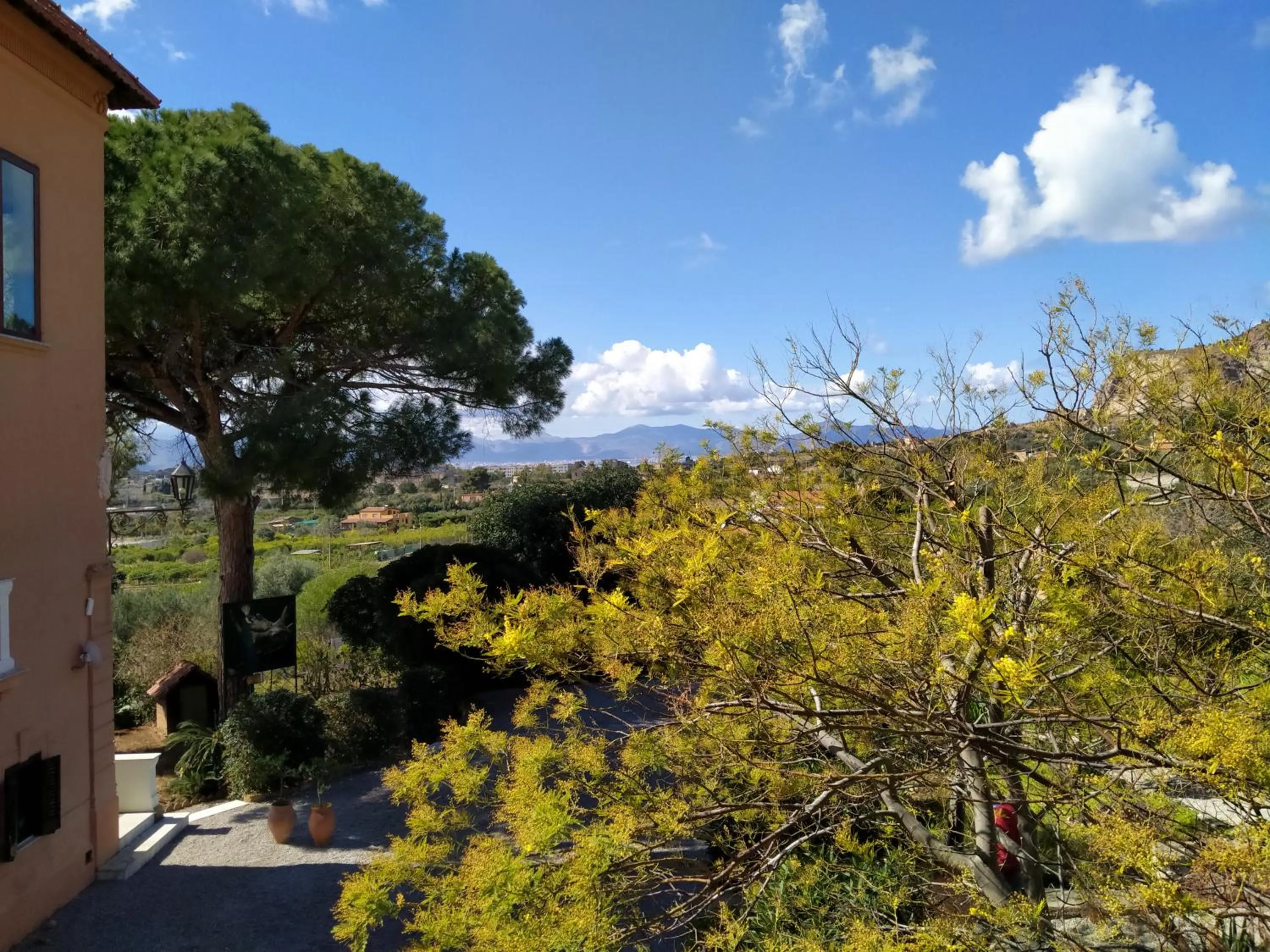 Spring in Villa Paladino Solunto
