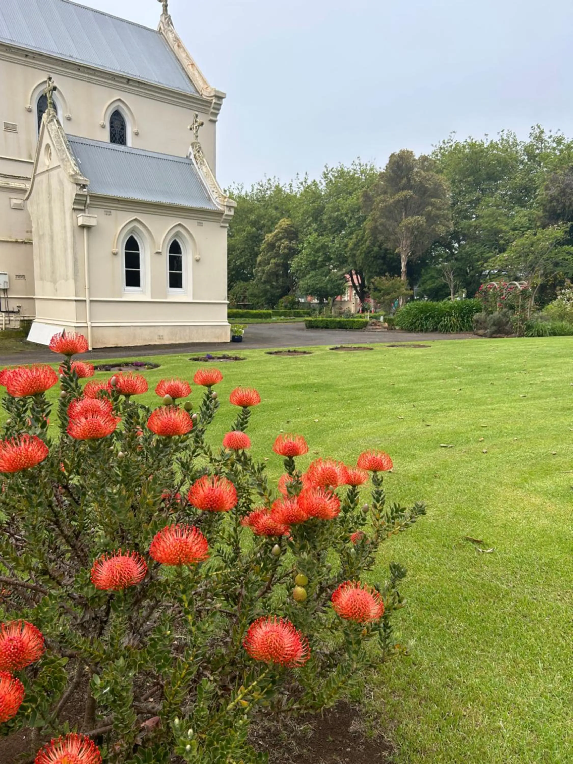 Property building in Convent at Koroit