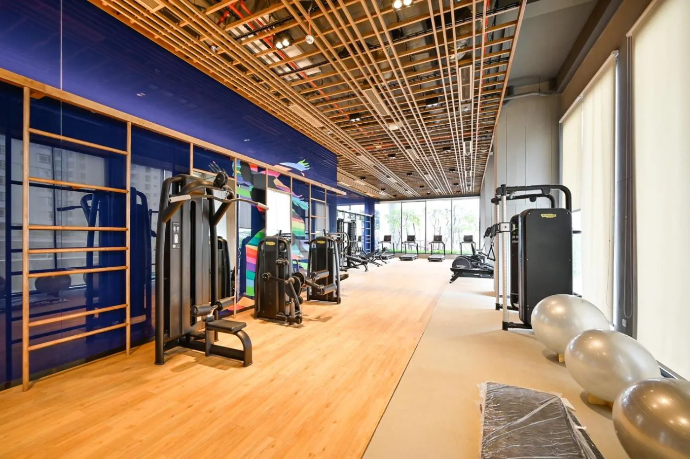 Fitness centre/facilities in Royal State - The Ascentia Phu My Hung