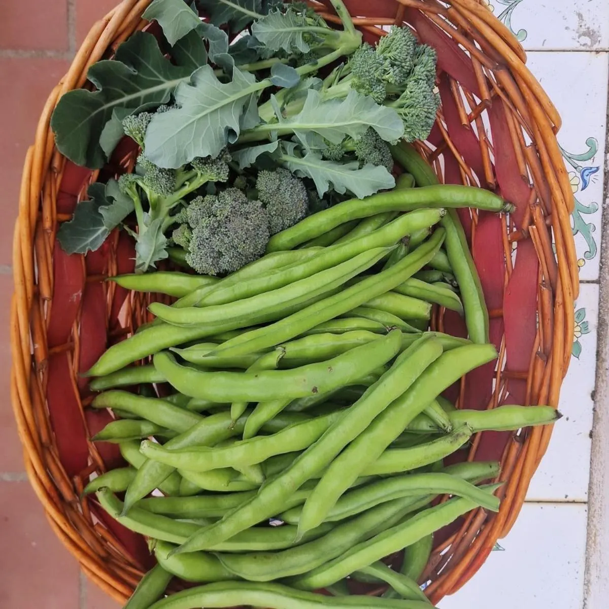Agriturismo Fuoco D'Amalfi Villa Iazzetta