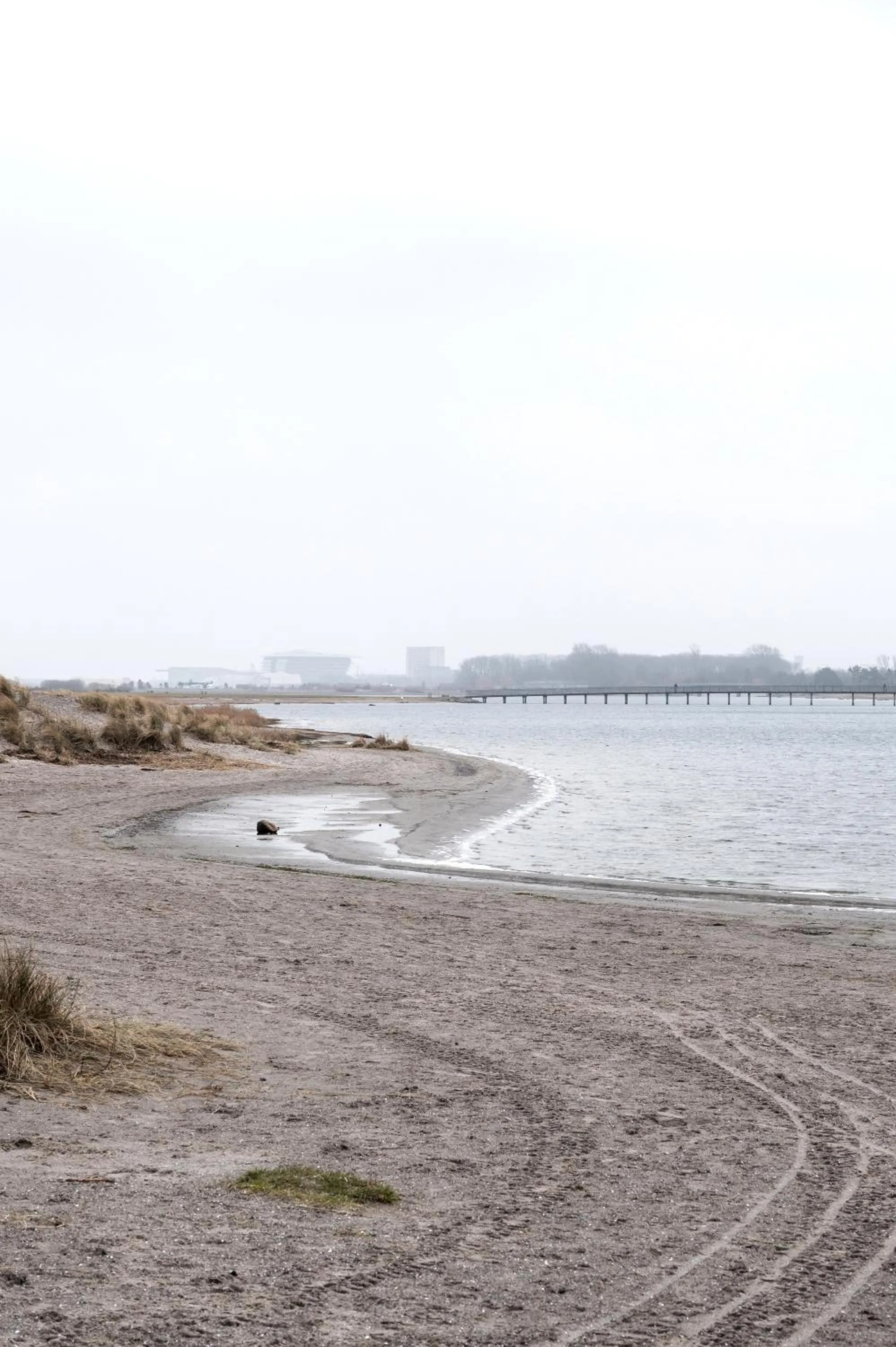 Beach in Beach Trail apartments by Daniel&Jacob's