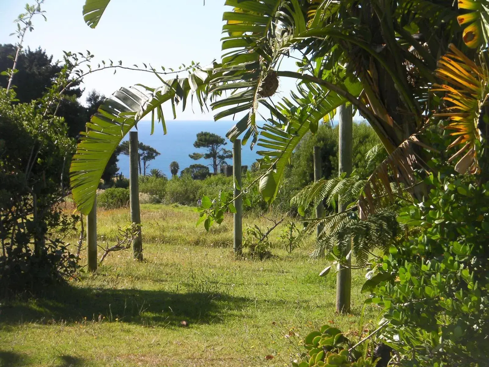 Day in Tsitsikamma on Sea Self-catering Cottages Day in Tsitsikamma on Sea Self-catering Cottages