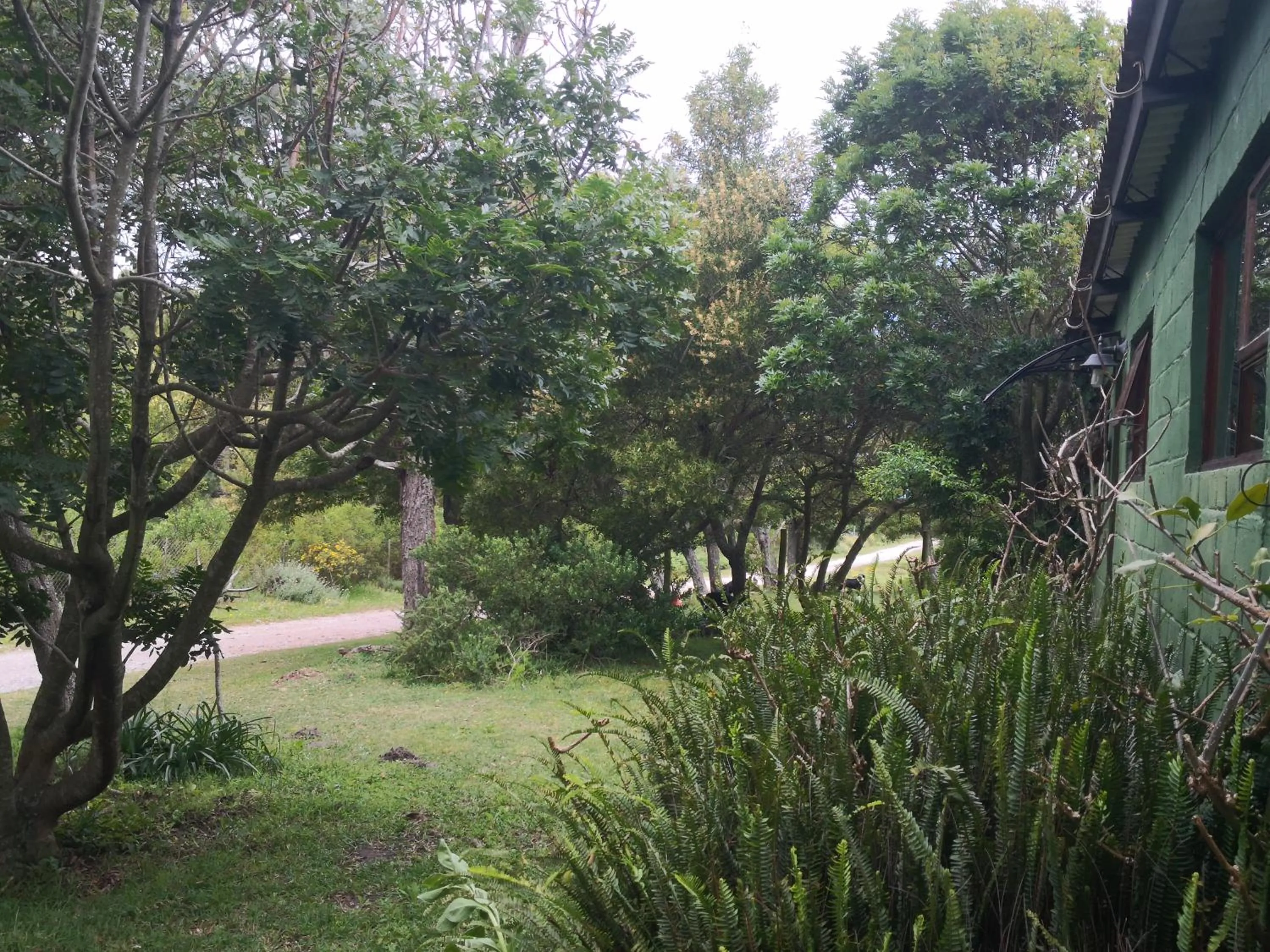 Natural landscape in Tsitsikamma on Sea Self-catering Cottages