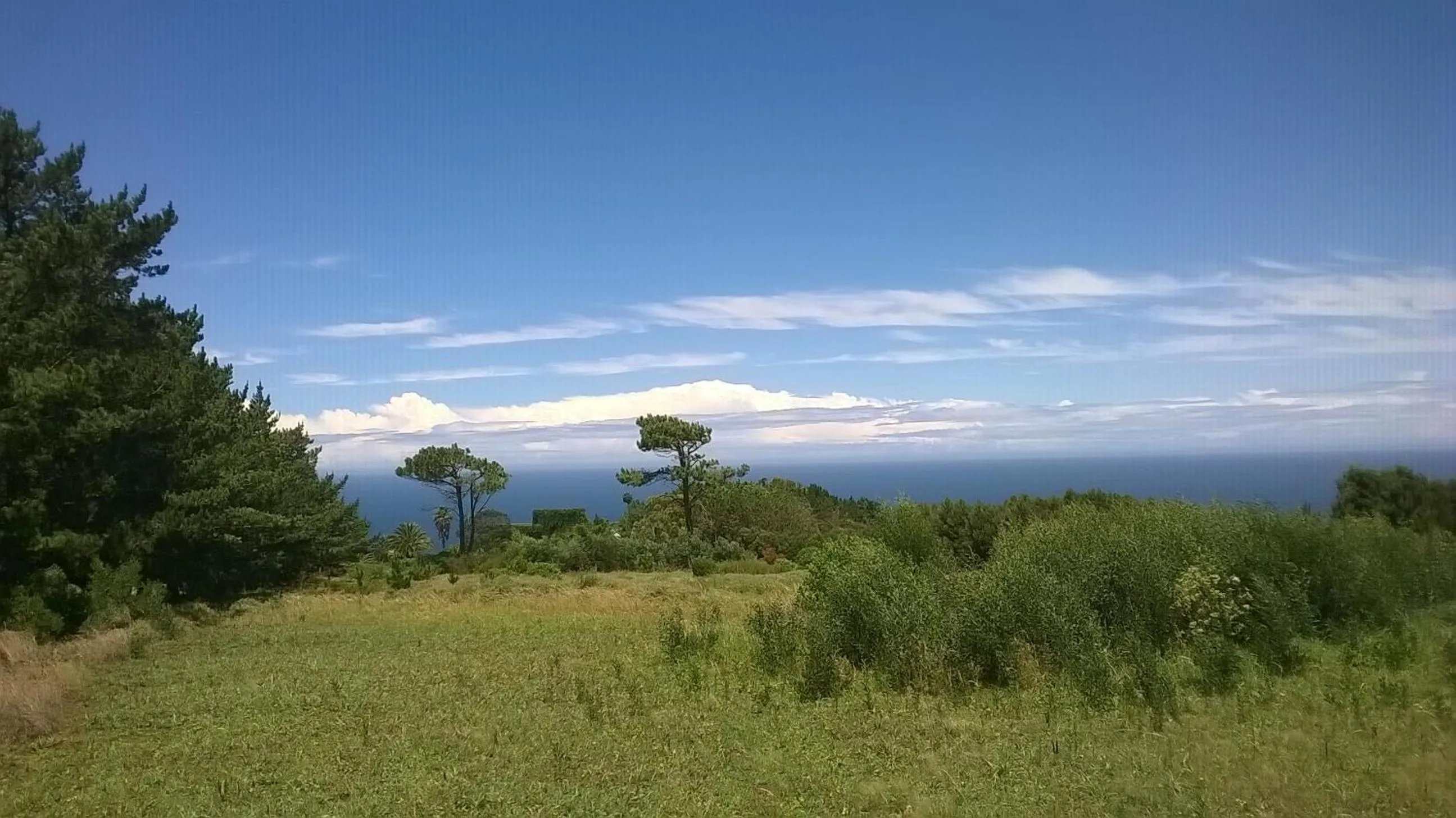 Spring in Tsitsikamma on Sea Self-catering Cottages