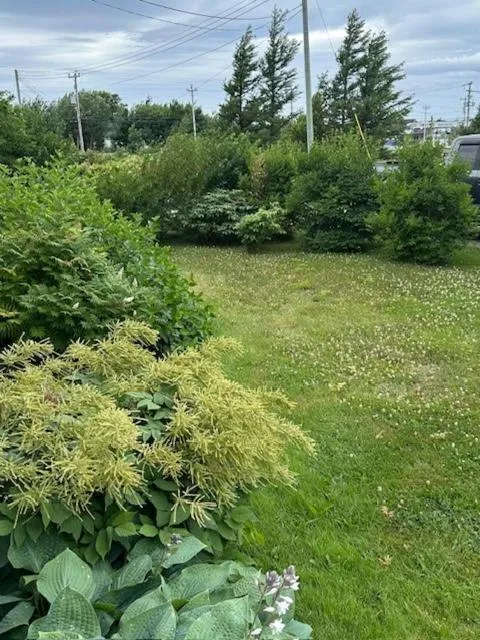 Garden in Lancaster Inn B&B