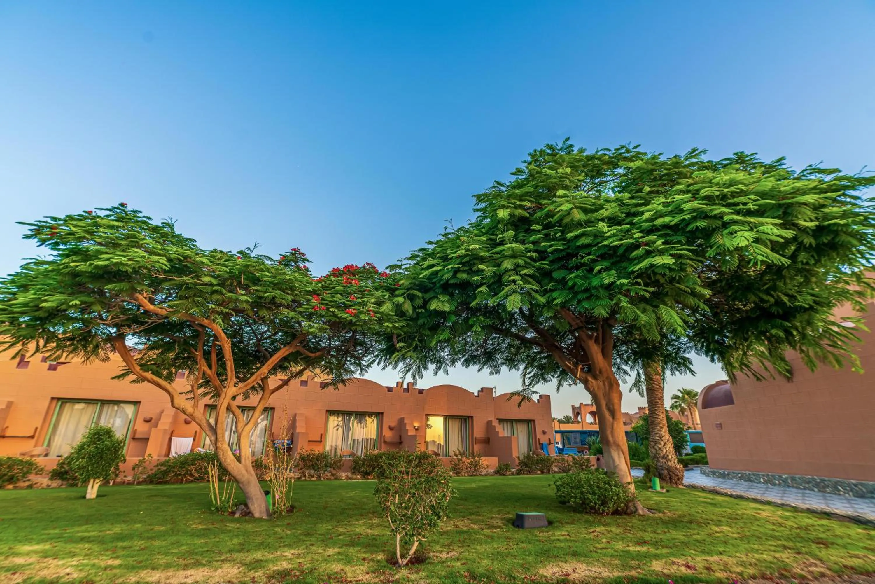 Garden in Akassia Swiss Resort