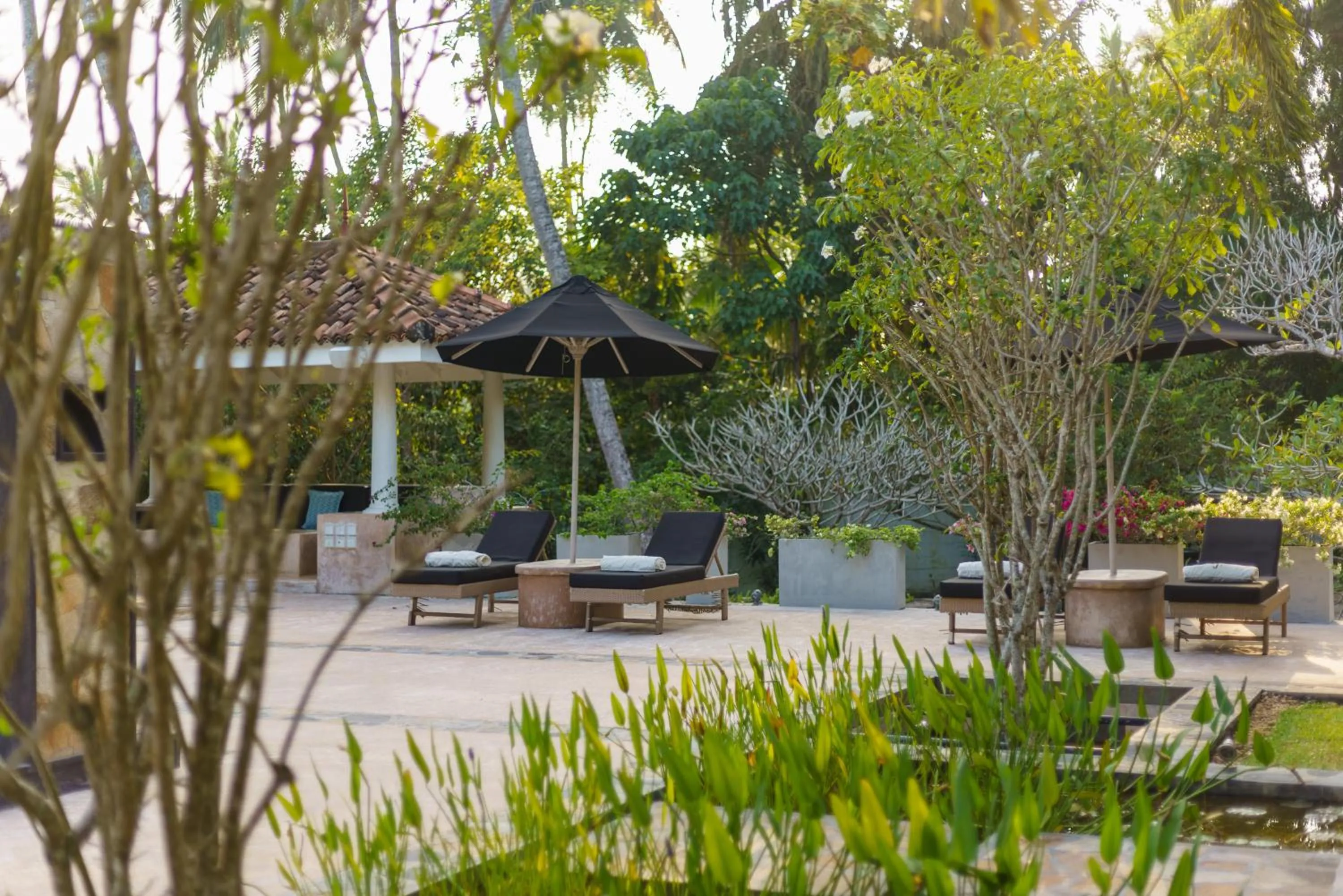 Swimming pool in JH Villa