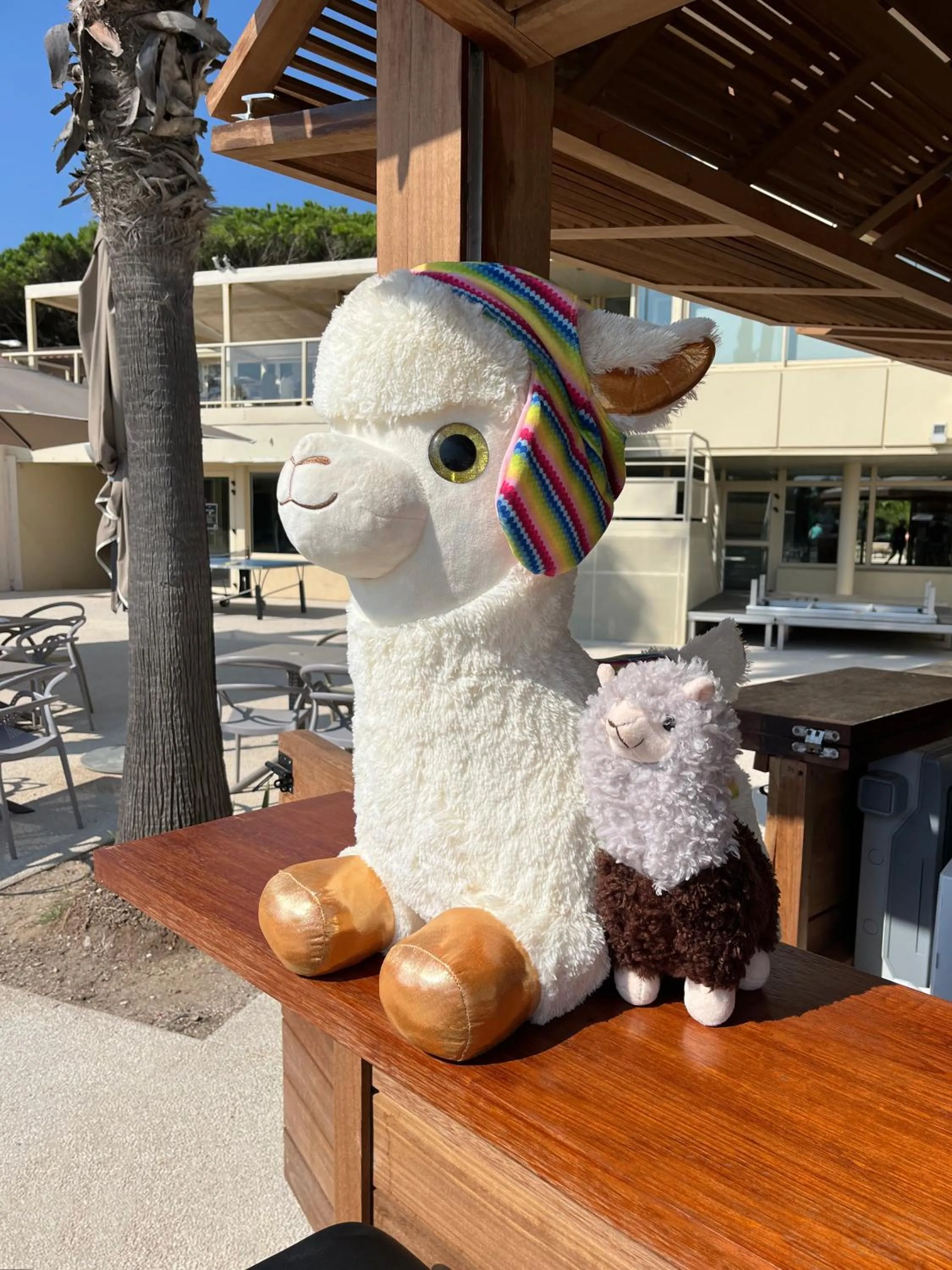 Decorative detail in Résidence Kaliopé