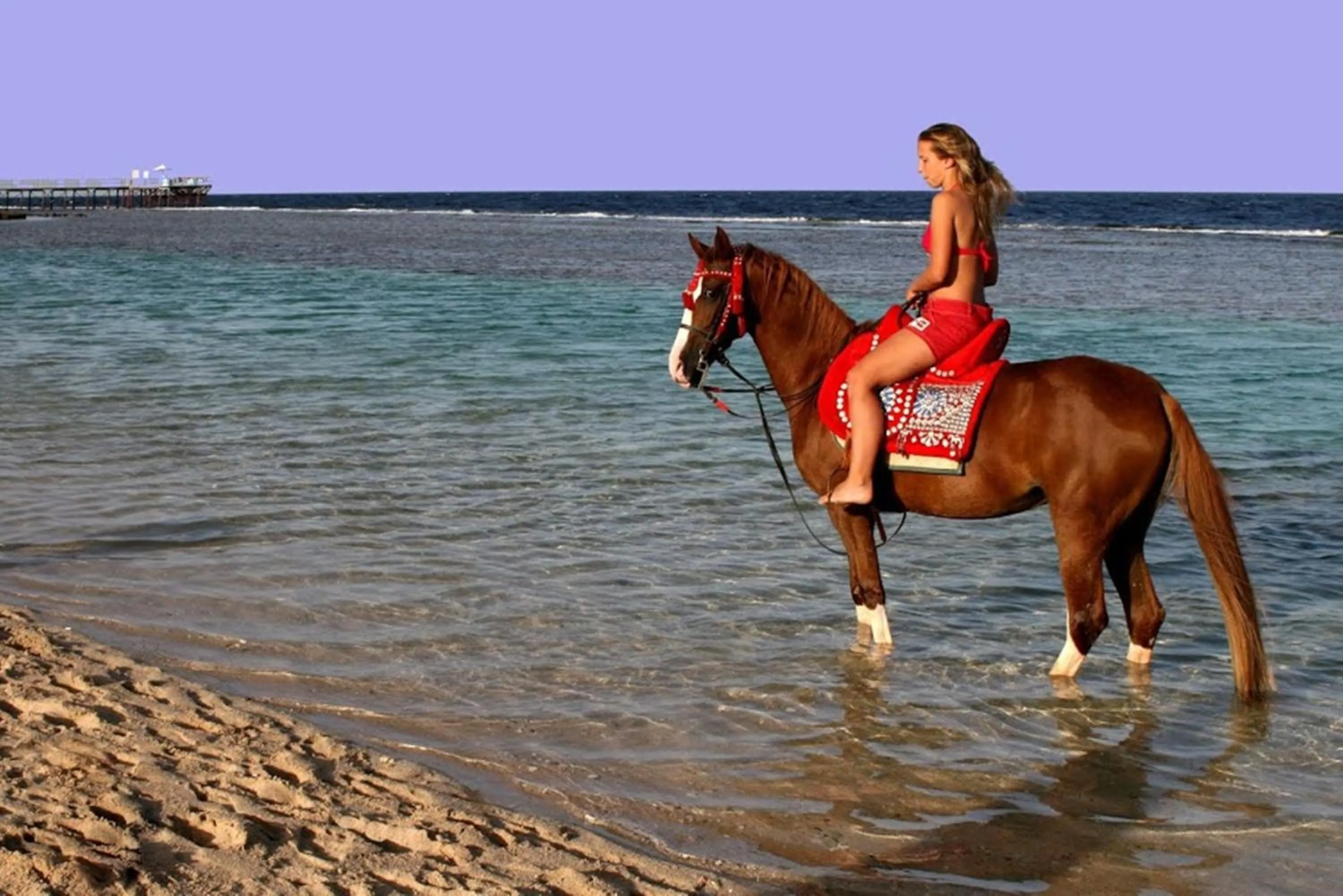 Beach in Sentido Akassia Beach
