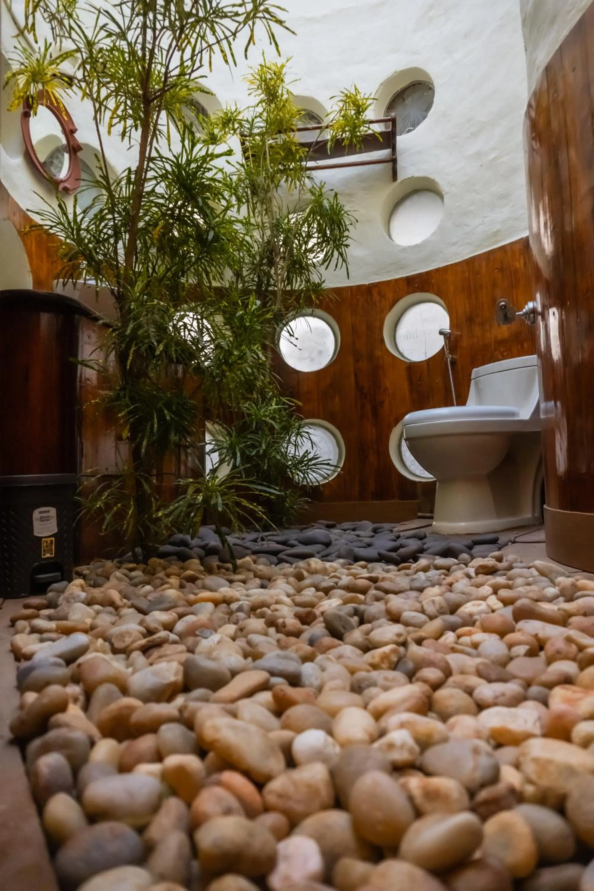 Eden Garden By Cliff Way