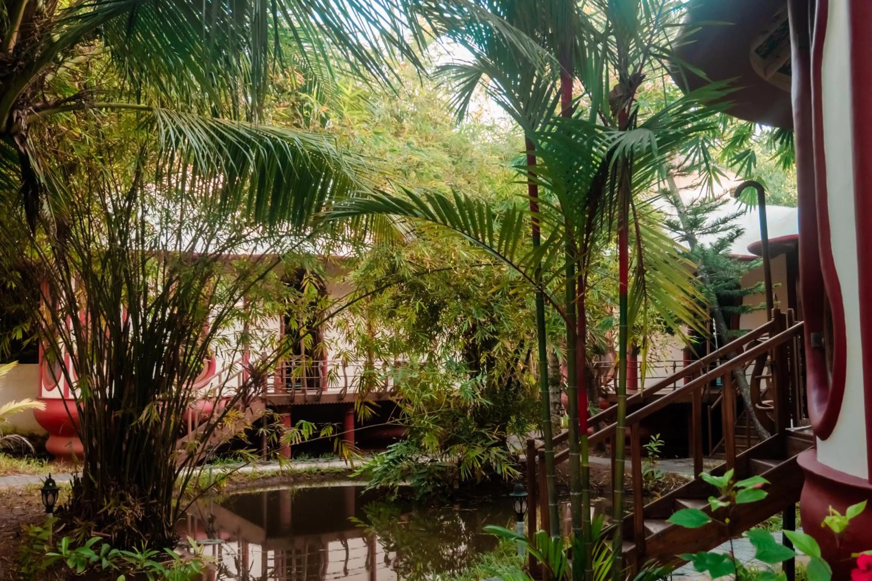 Eden Garden By Cliff Way