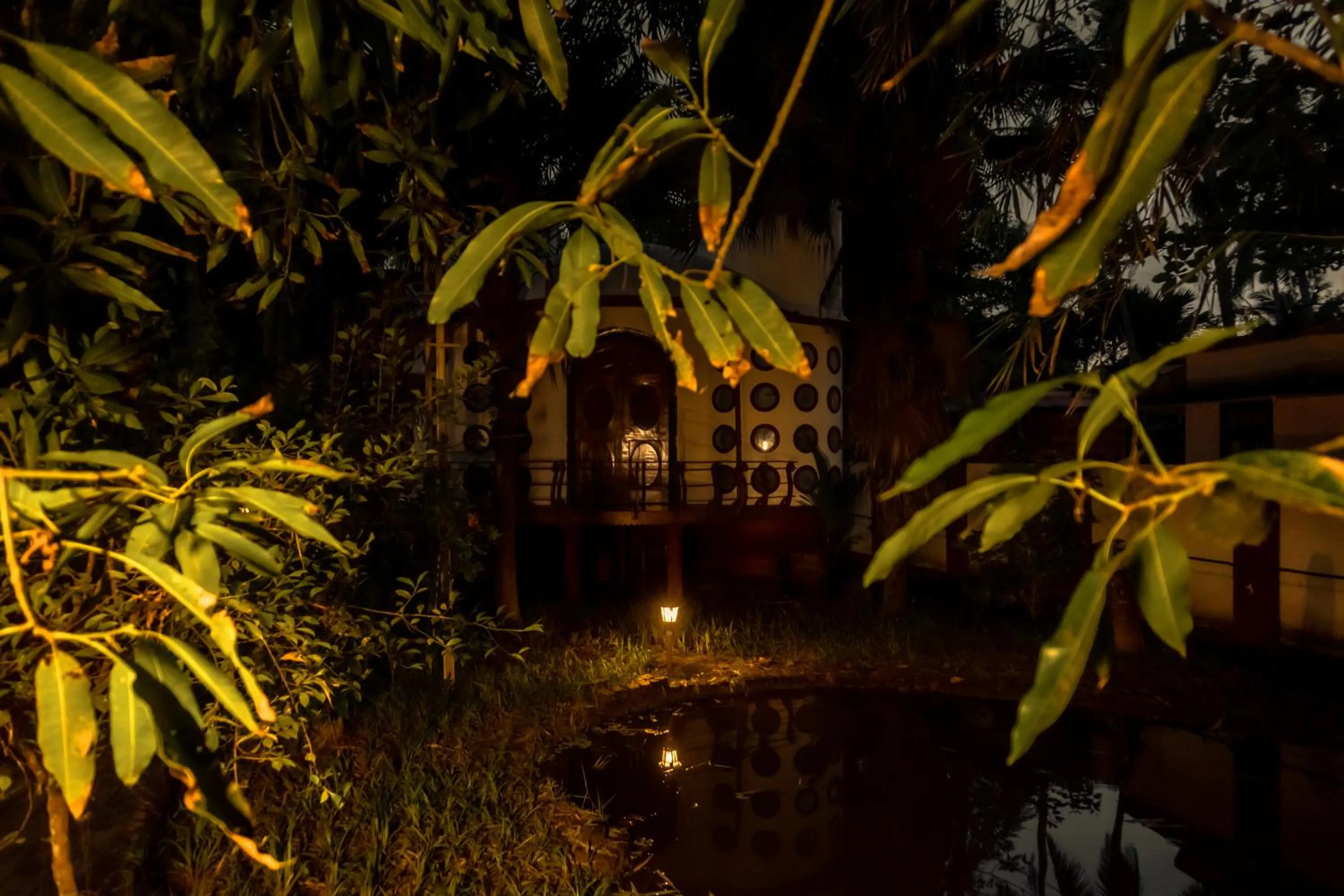 Eden Garden By Cliff Way