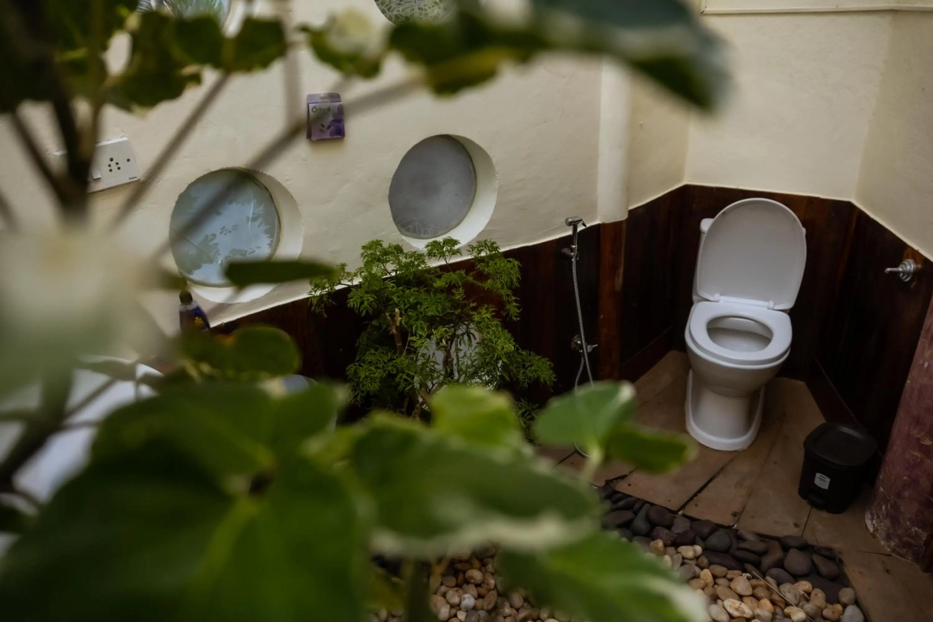 Eden Garden By Cliff Way