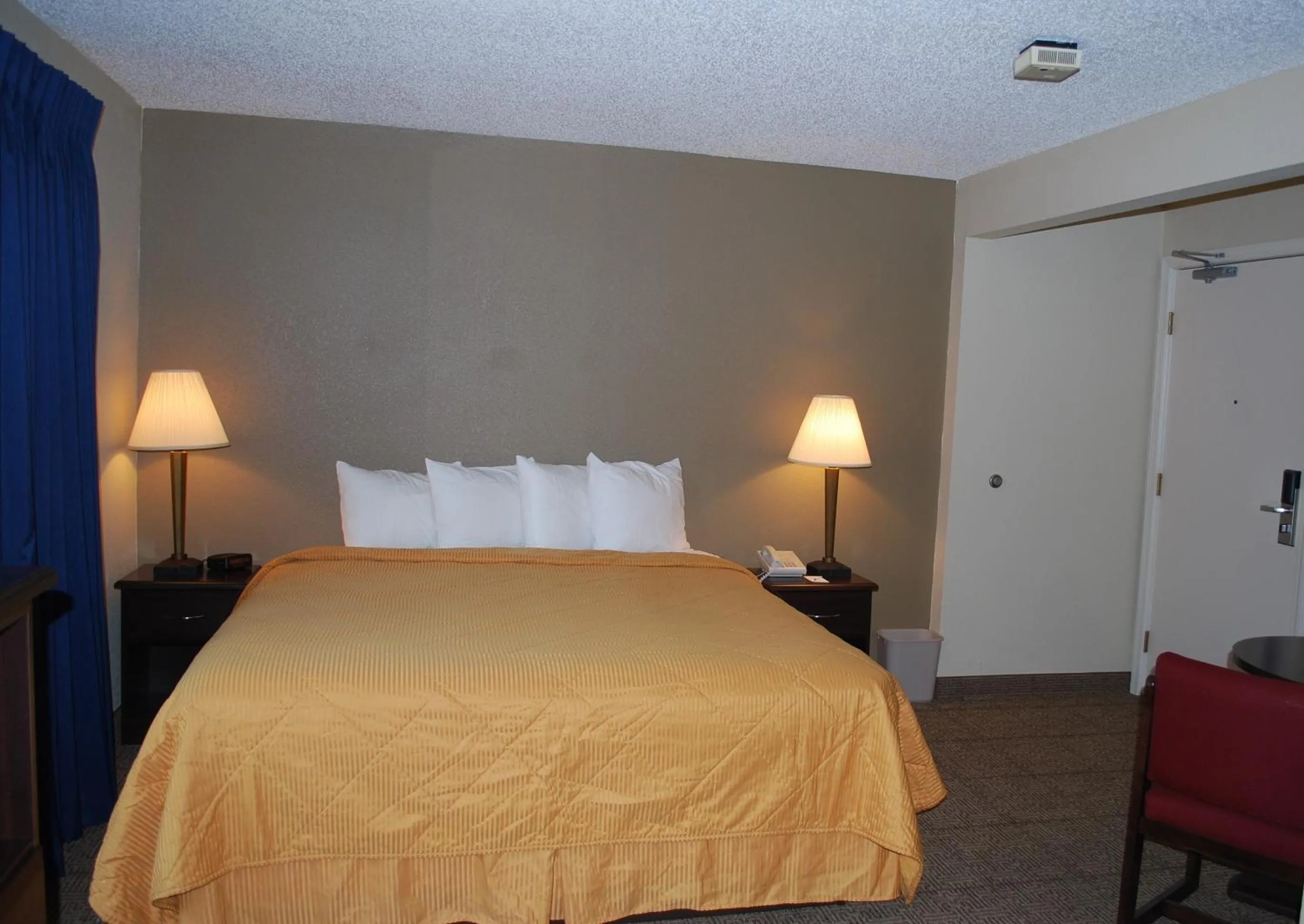 Deluxe King Bed, Jacuzzi, Lakefront in Clinton Inn & Suites