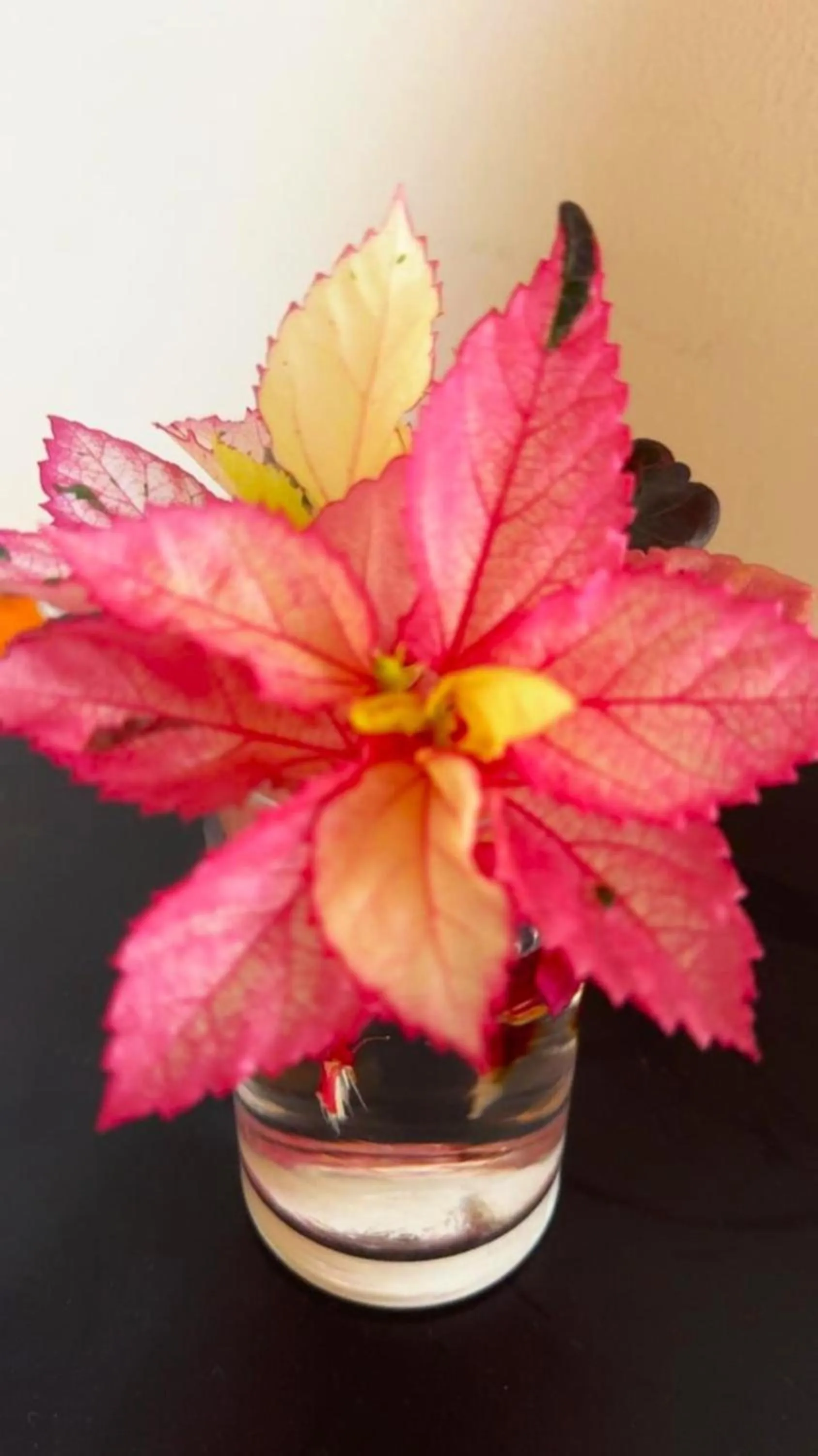 Lobby or reception in Pousada do Trinta