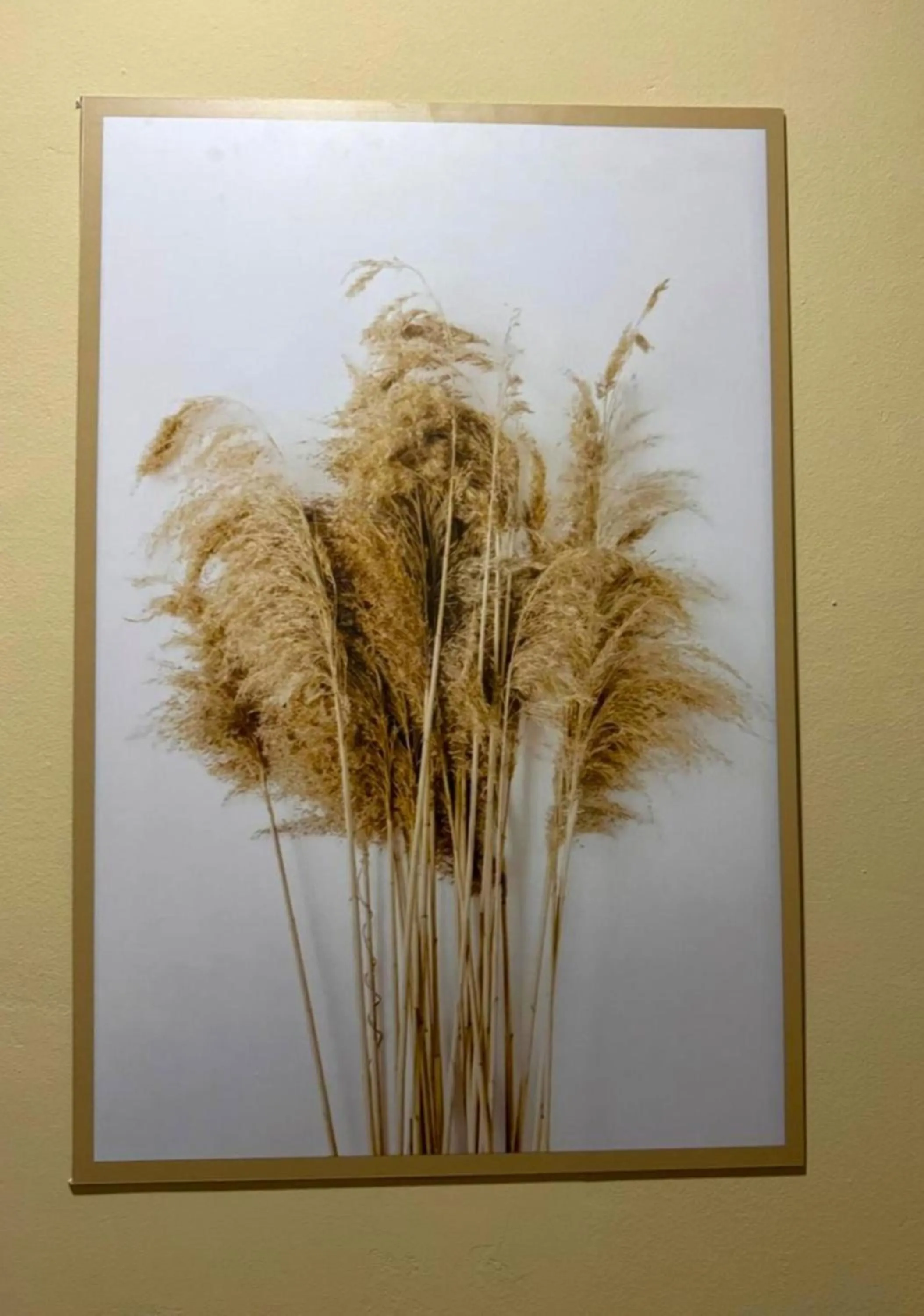 Lobby or reception in Pousada do Trinta