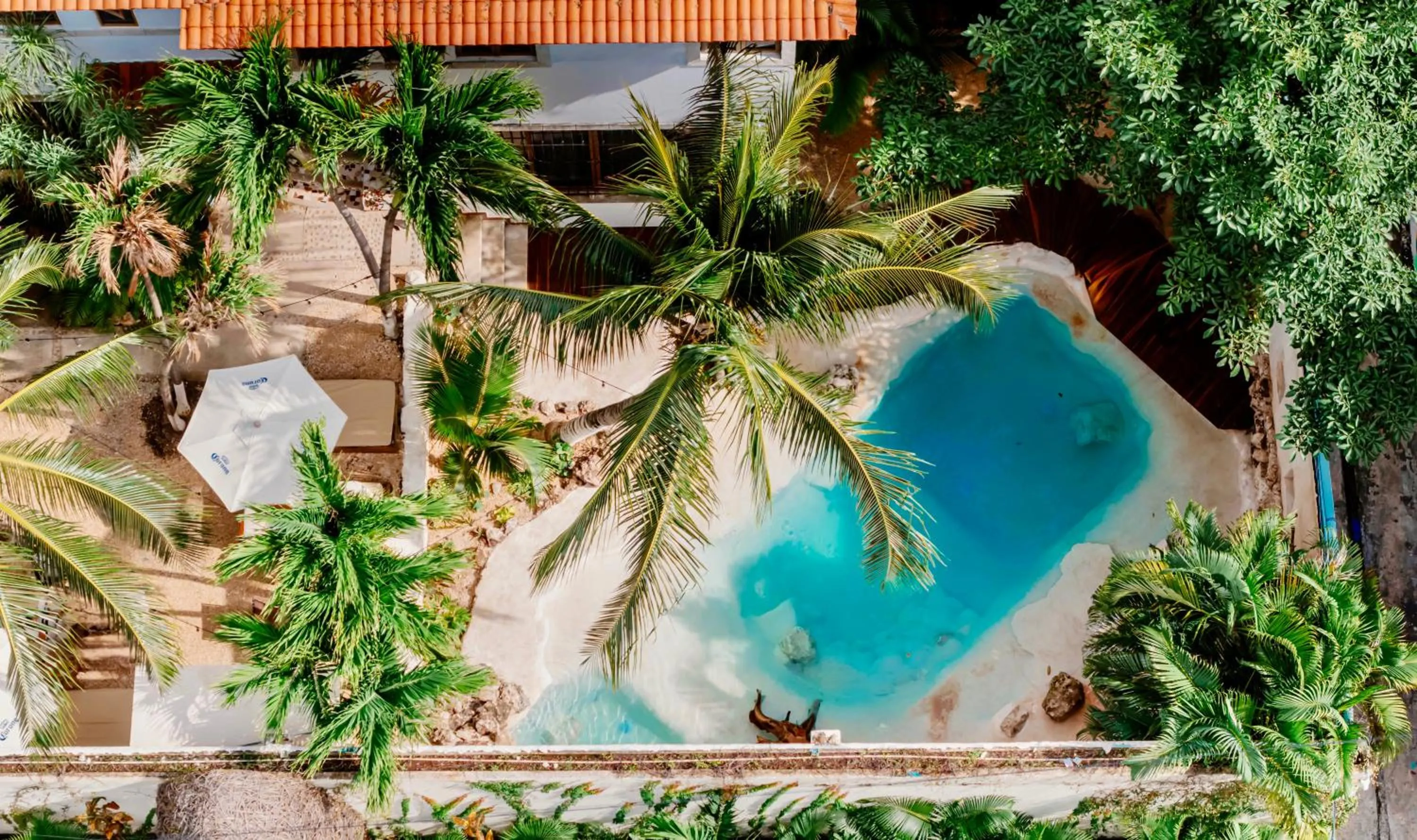 Swimming pool in Mezcal Hotel
