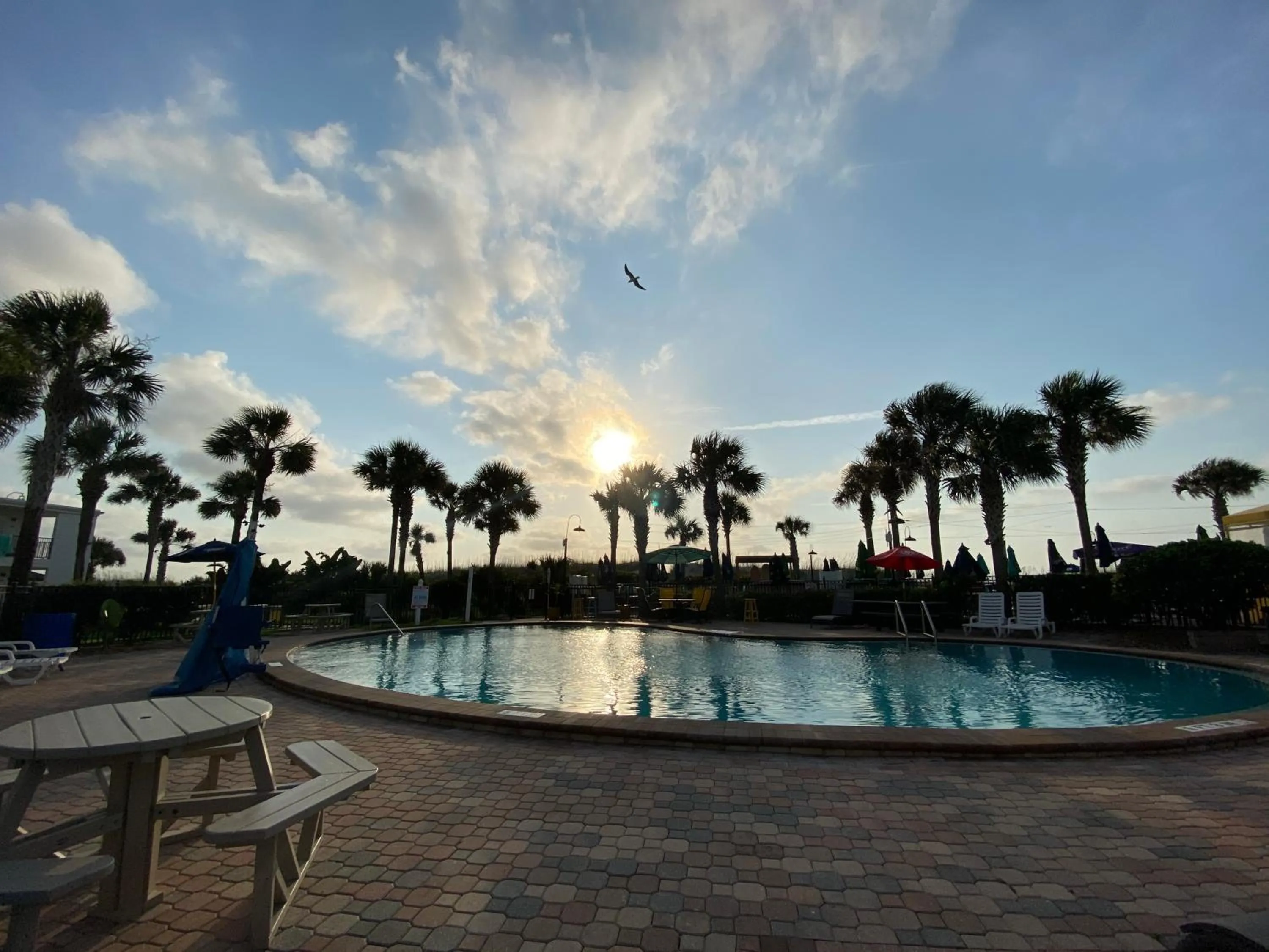 Pool view in Seahorse Oceanfront Inn