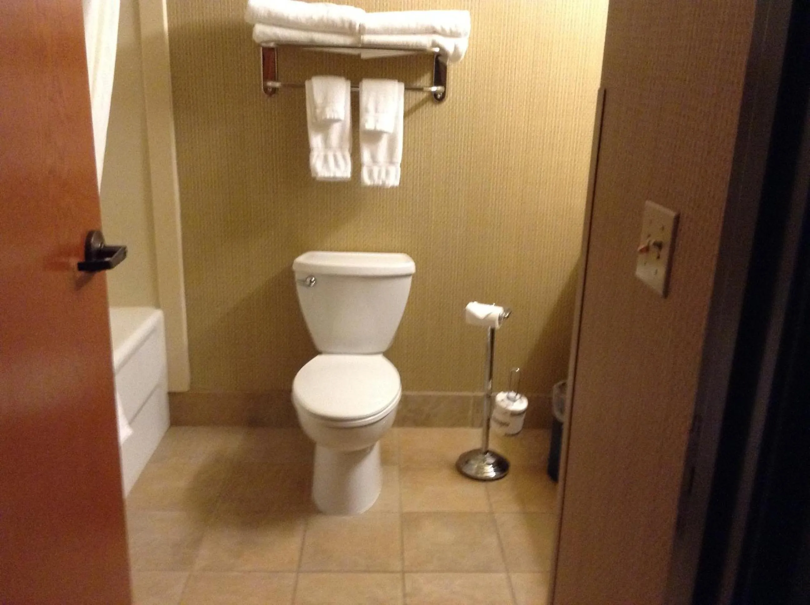 Toilet in Canal Park Lodge