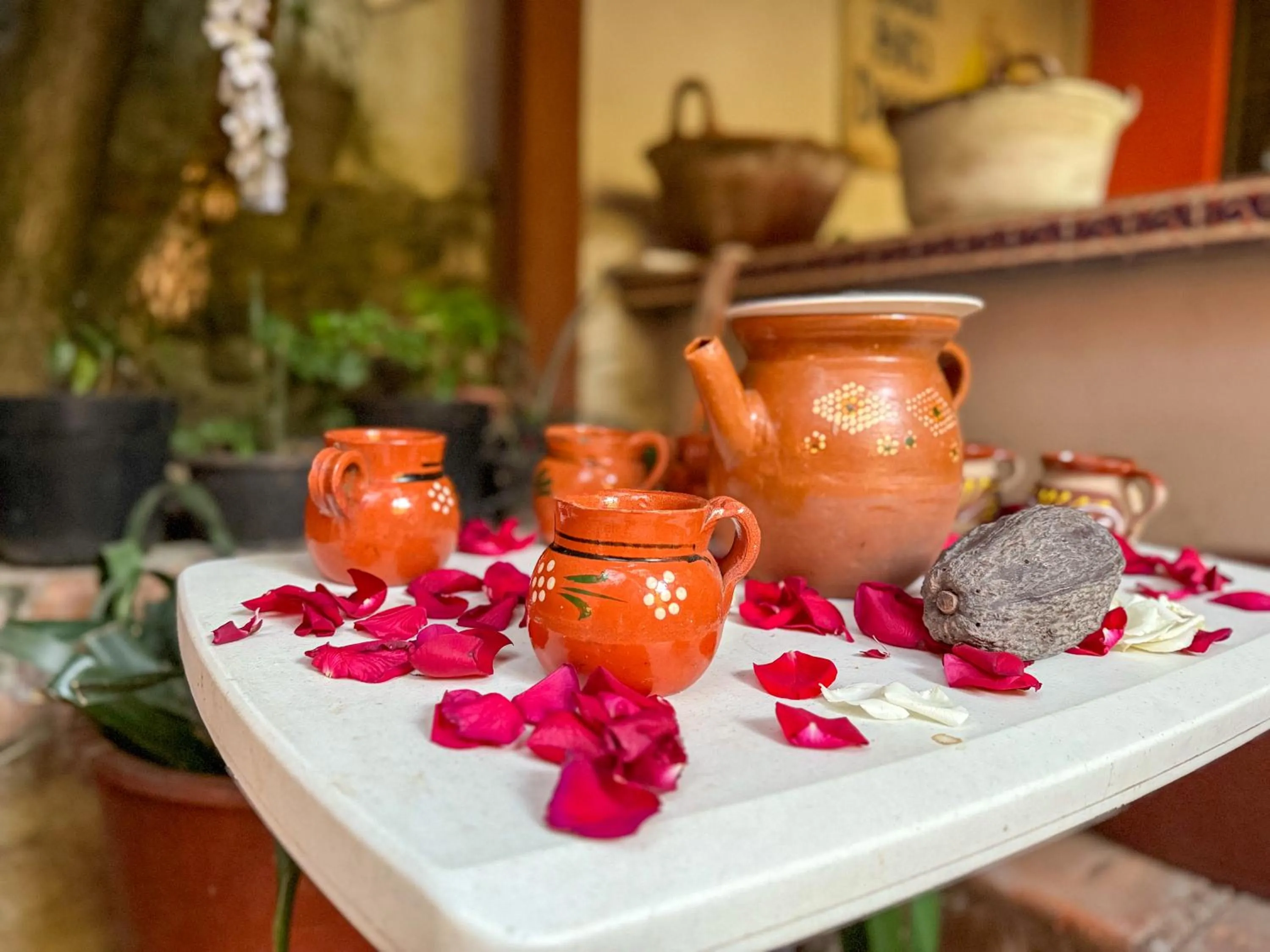 Food and drinks in Posada Temazcal Santo Domingo