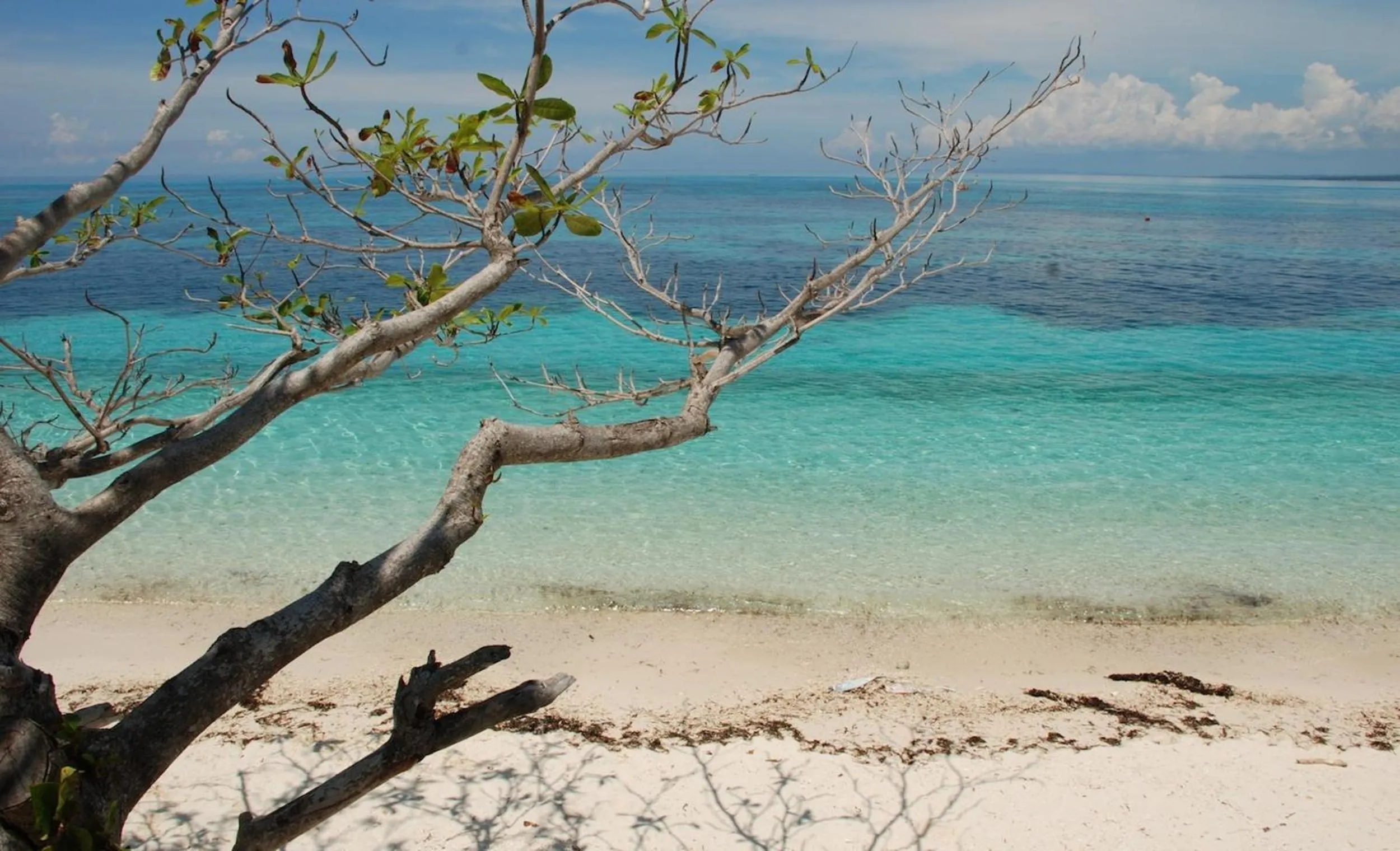Beach in Malapascua Legend Water Sports and Resort