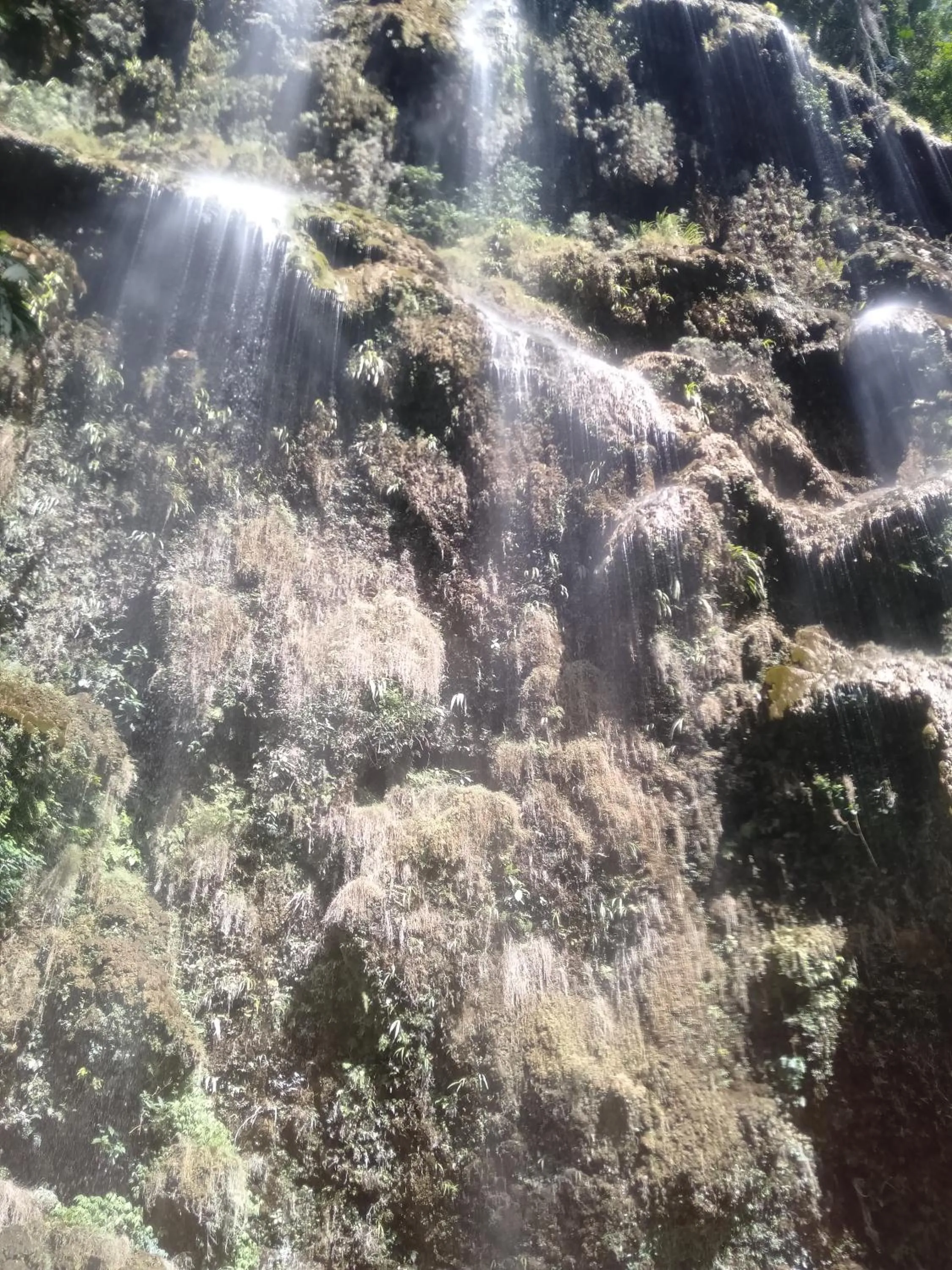 Natural landscape in Sascha's Resort Oslob