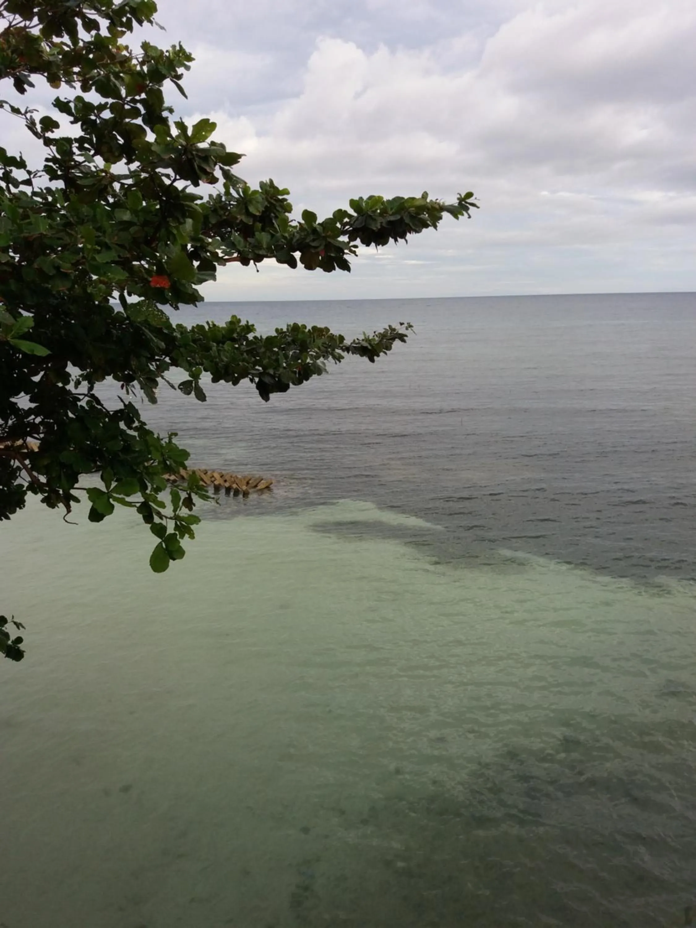 Sea view in Sascha's Resort Oslob