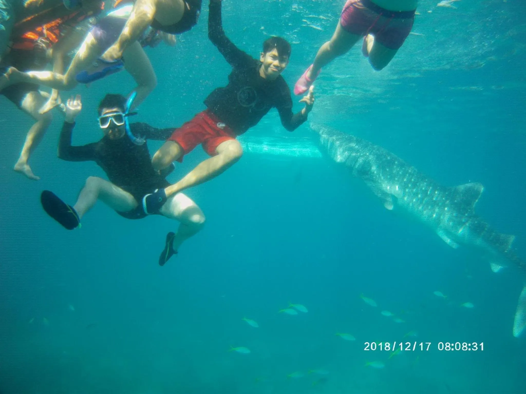 Activities in Sascha's Resort Oslob