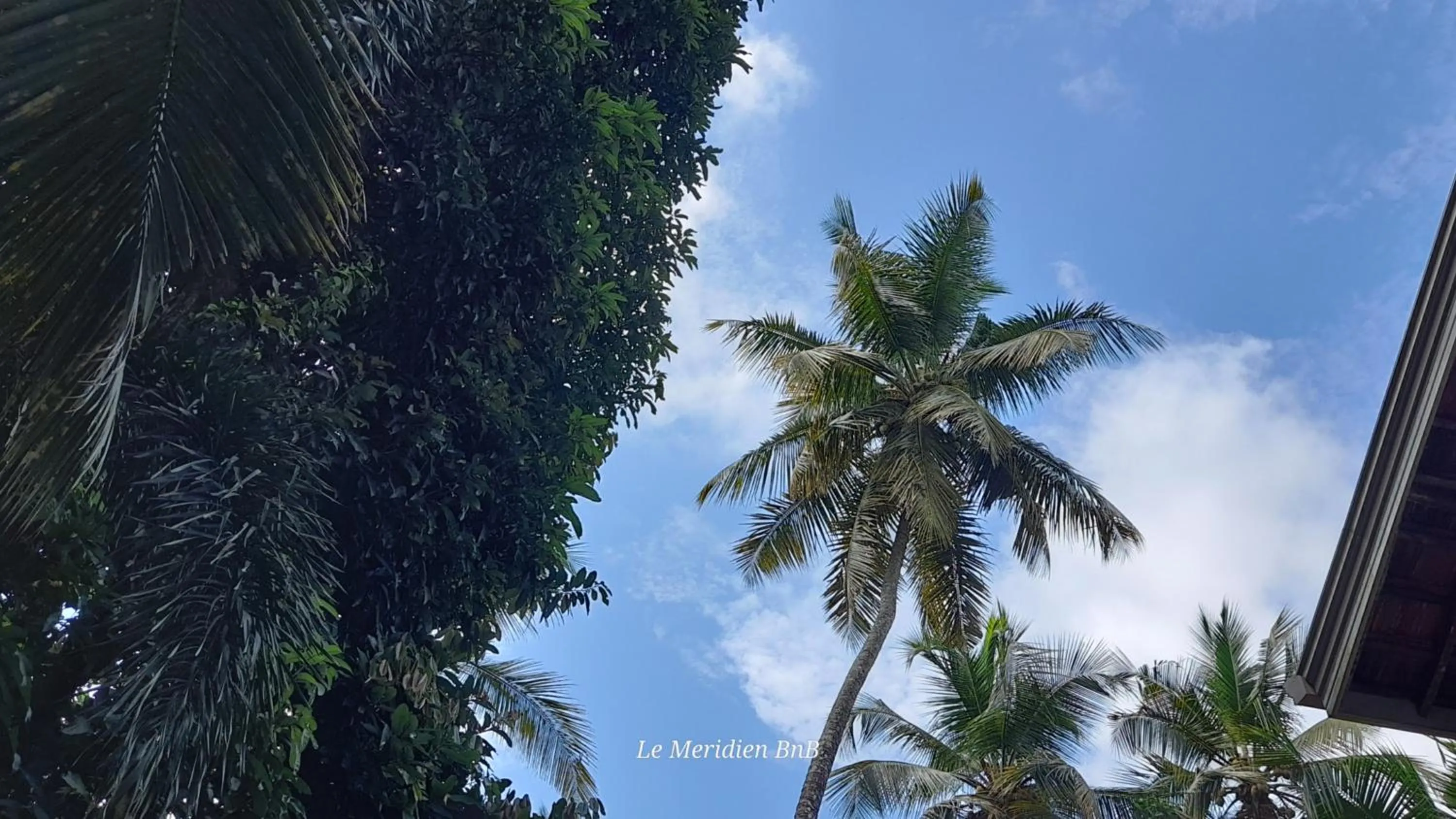 Le Meridien BnB