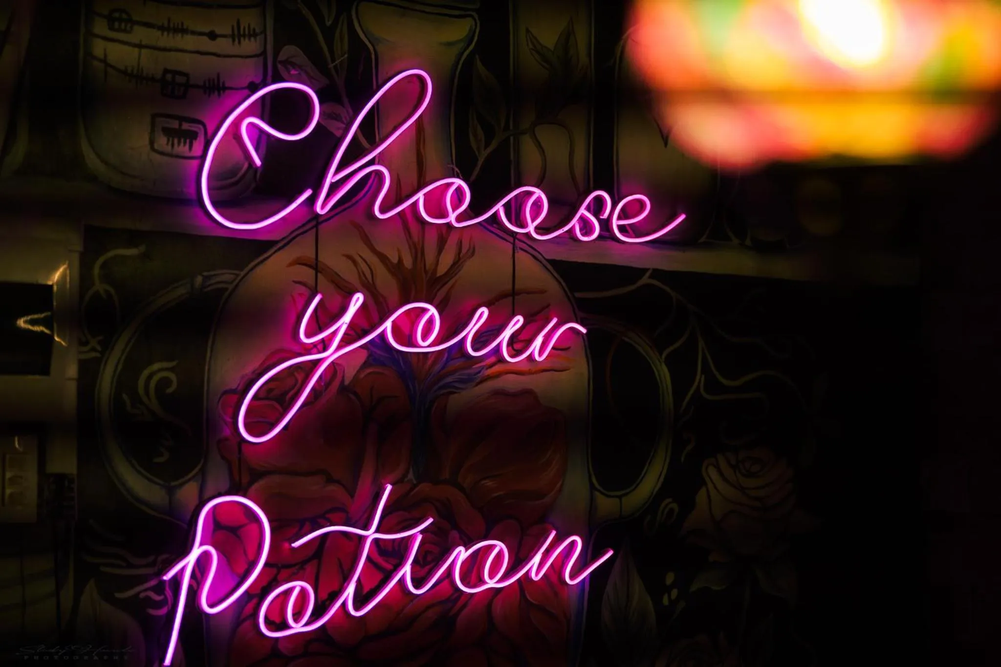 Property building in Mad Monkey Siquijor