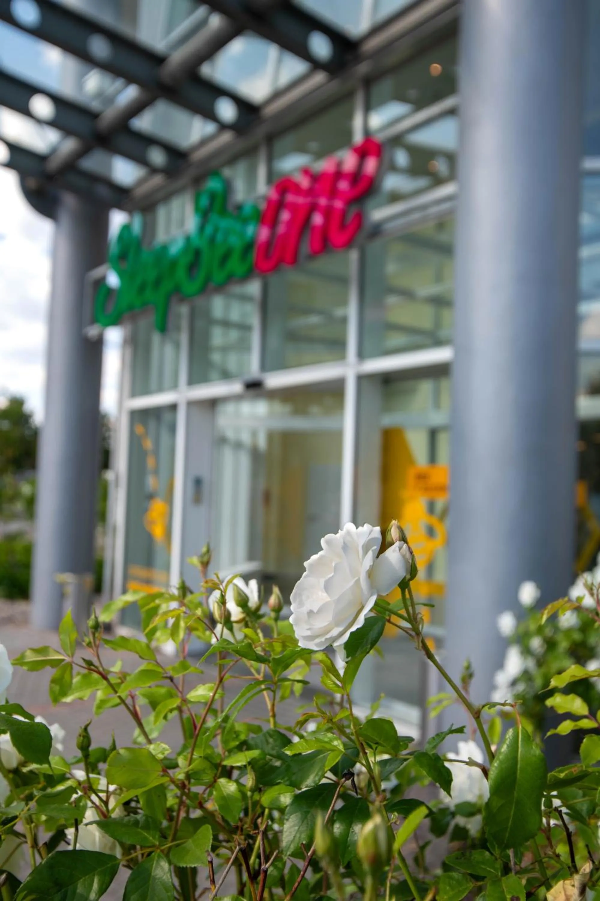 Garden view in Best Western Conference Airporthotel Frankfurt Mörfelden