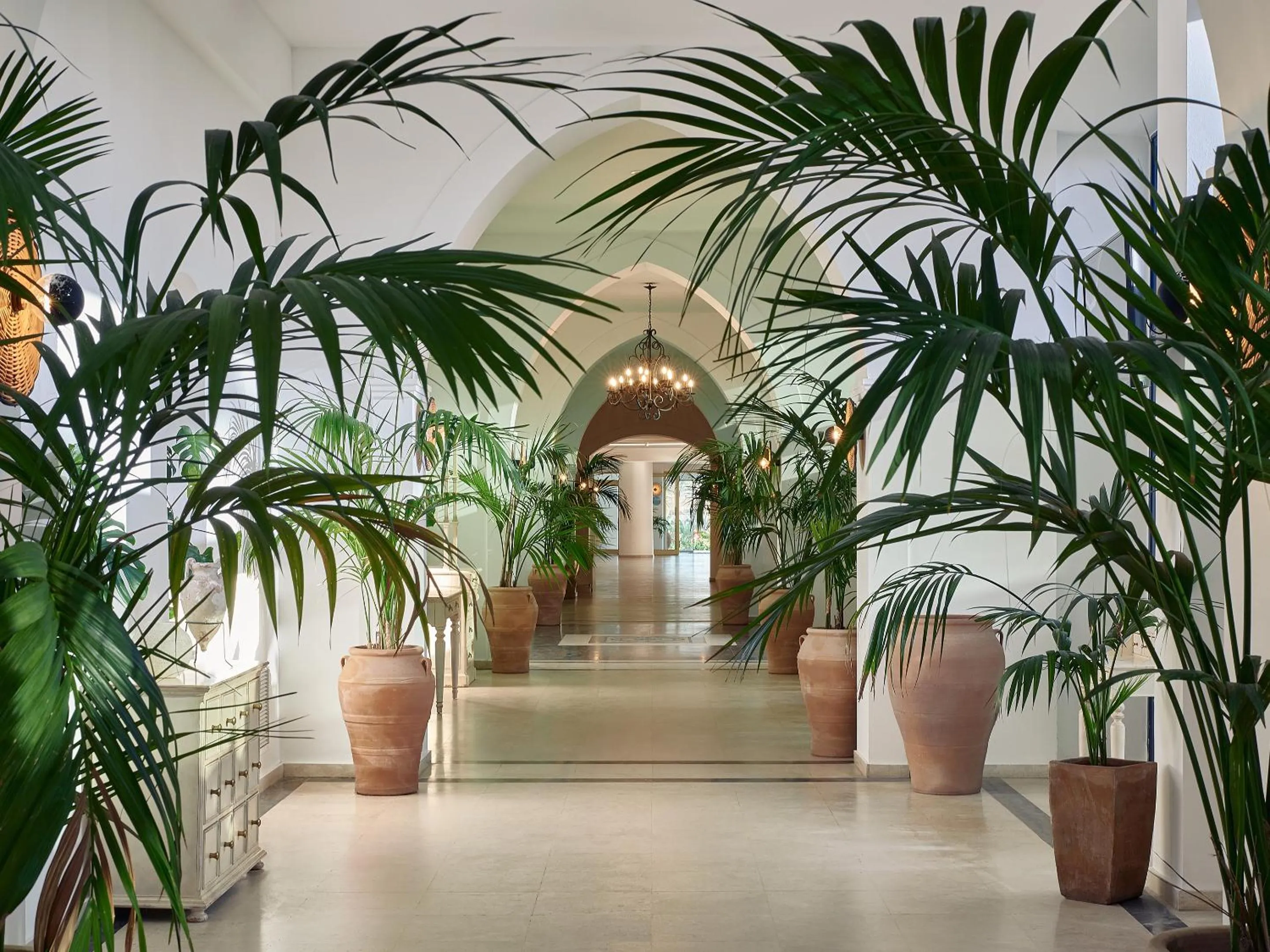 Area and facilities in Grecotel Casa Paradiso