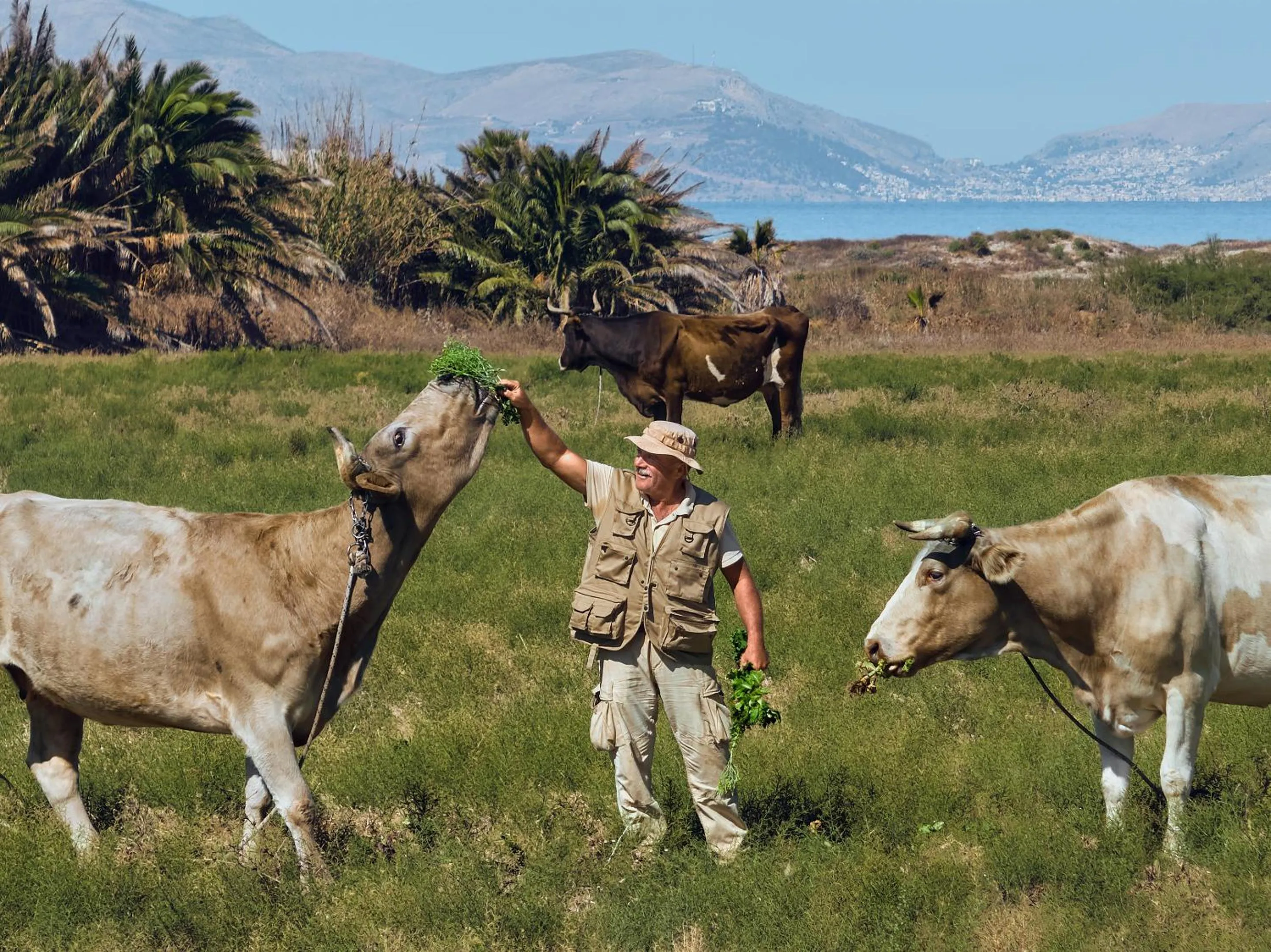 Natural landscape in Grecotel Casa Paradiso