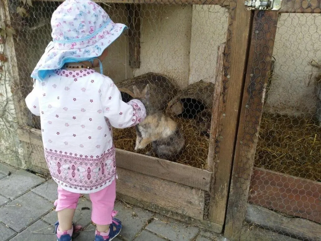 Garden in Landhaus Rössle
