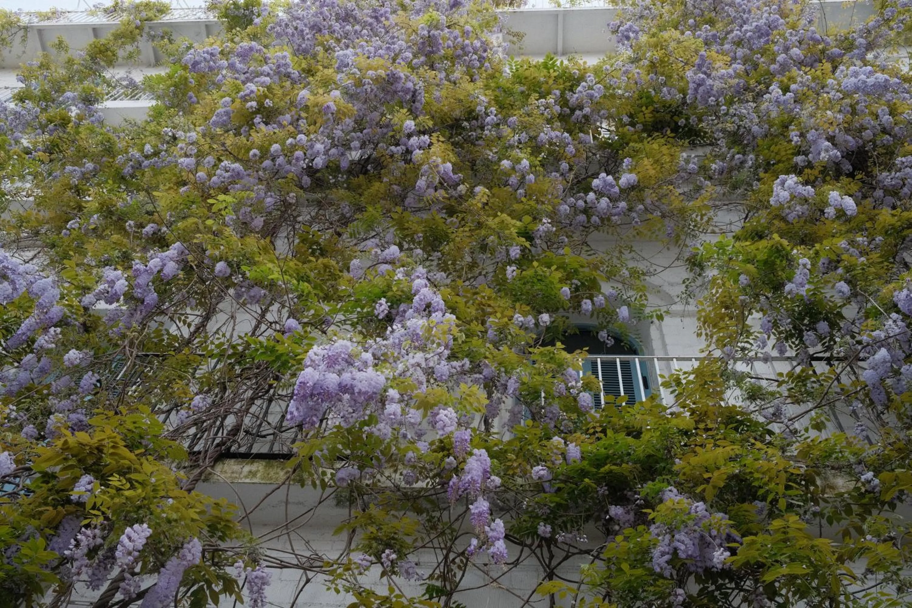 Property building in Rooms Hotel Batumi