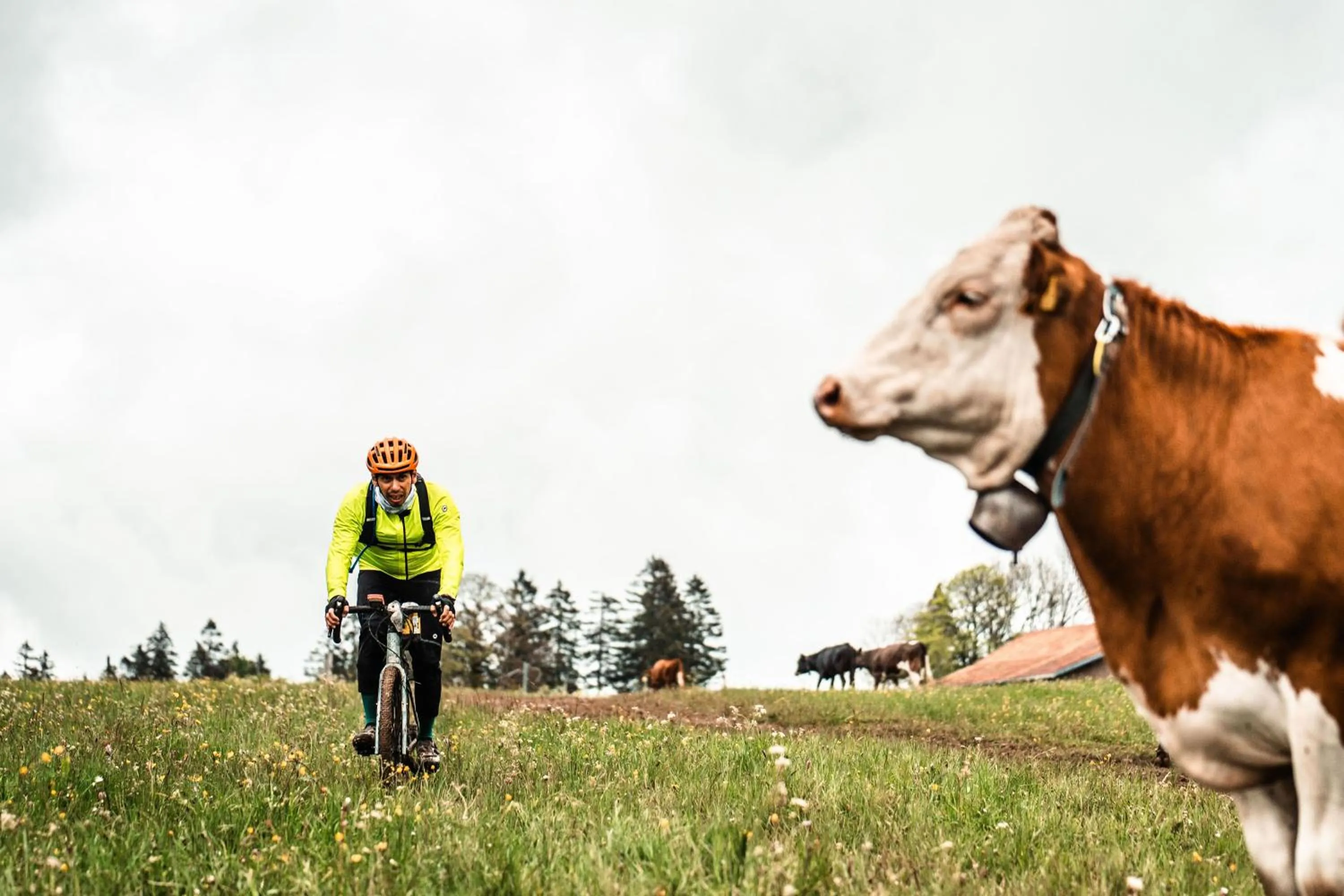 Cycling in Trafo Hotel Baden