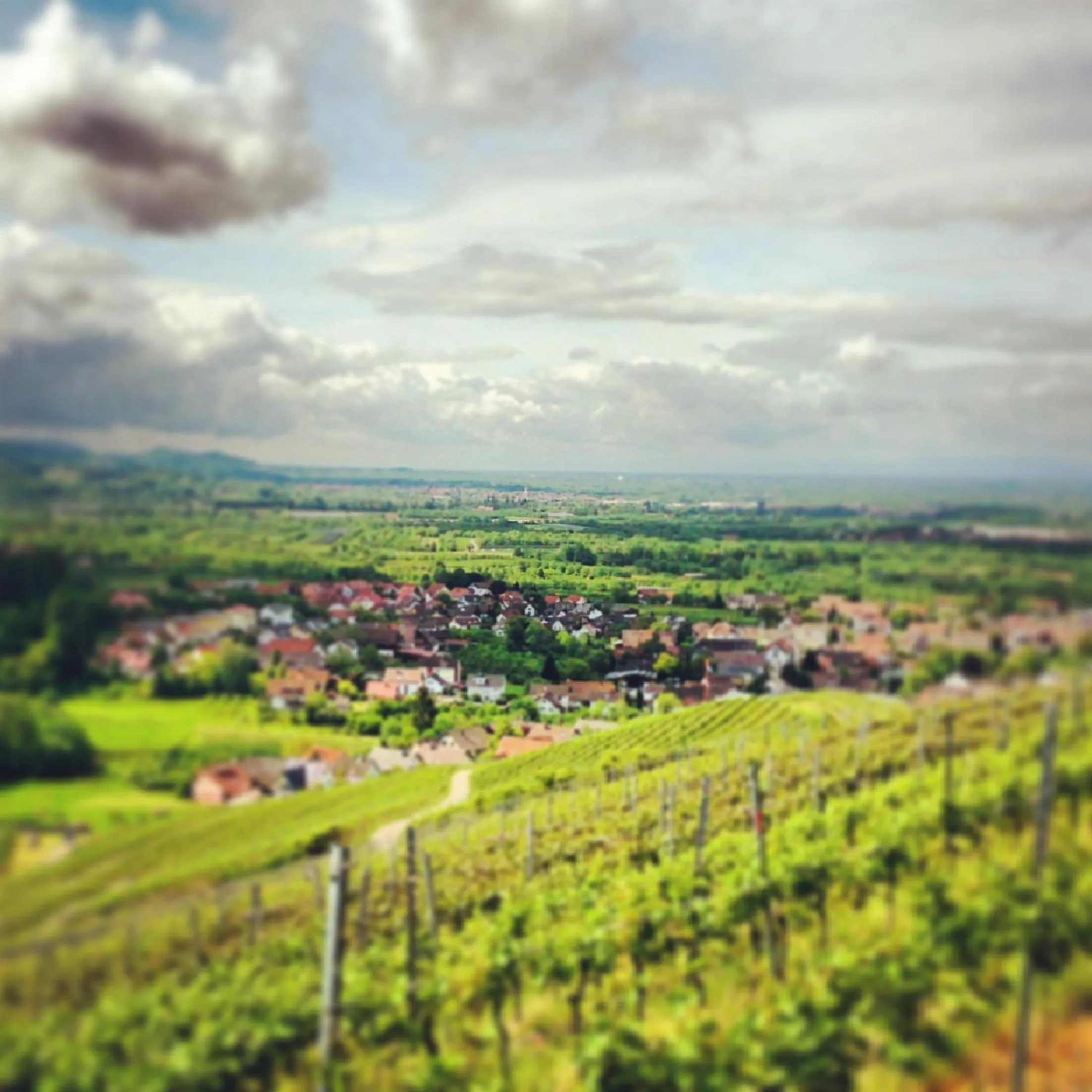 Other in Pflugwirts Hotel und Gasthaus