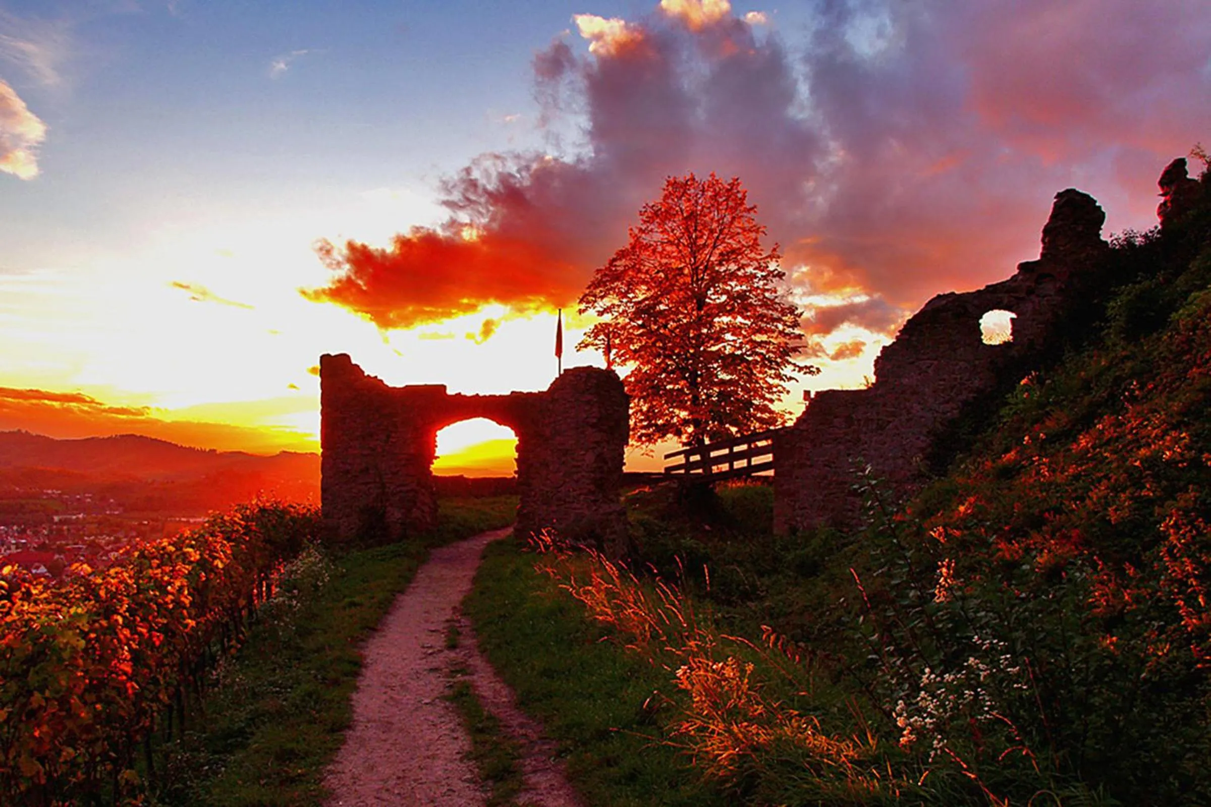 Other in Pflugwirts Hotel und Gasthaus