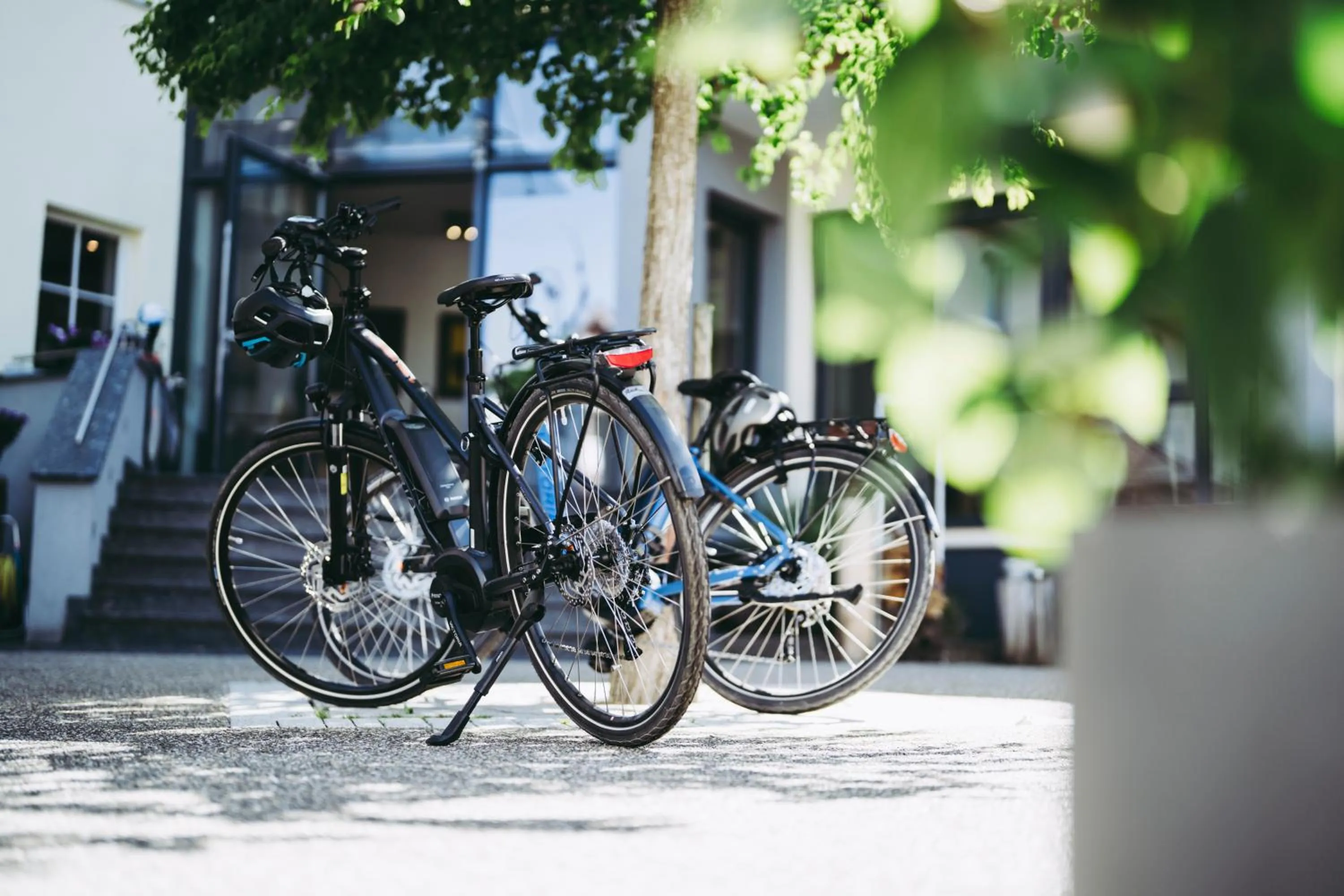 Activities in Pflugwirts Hotel und Gasthaus