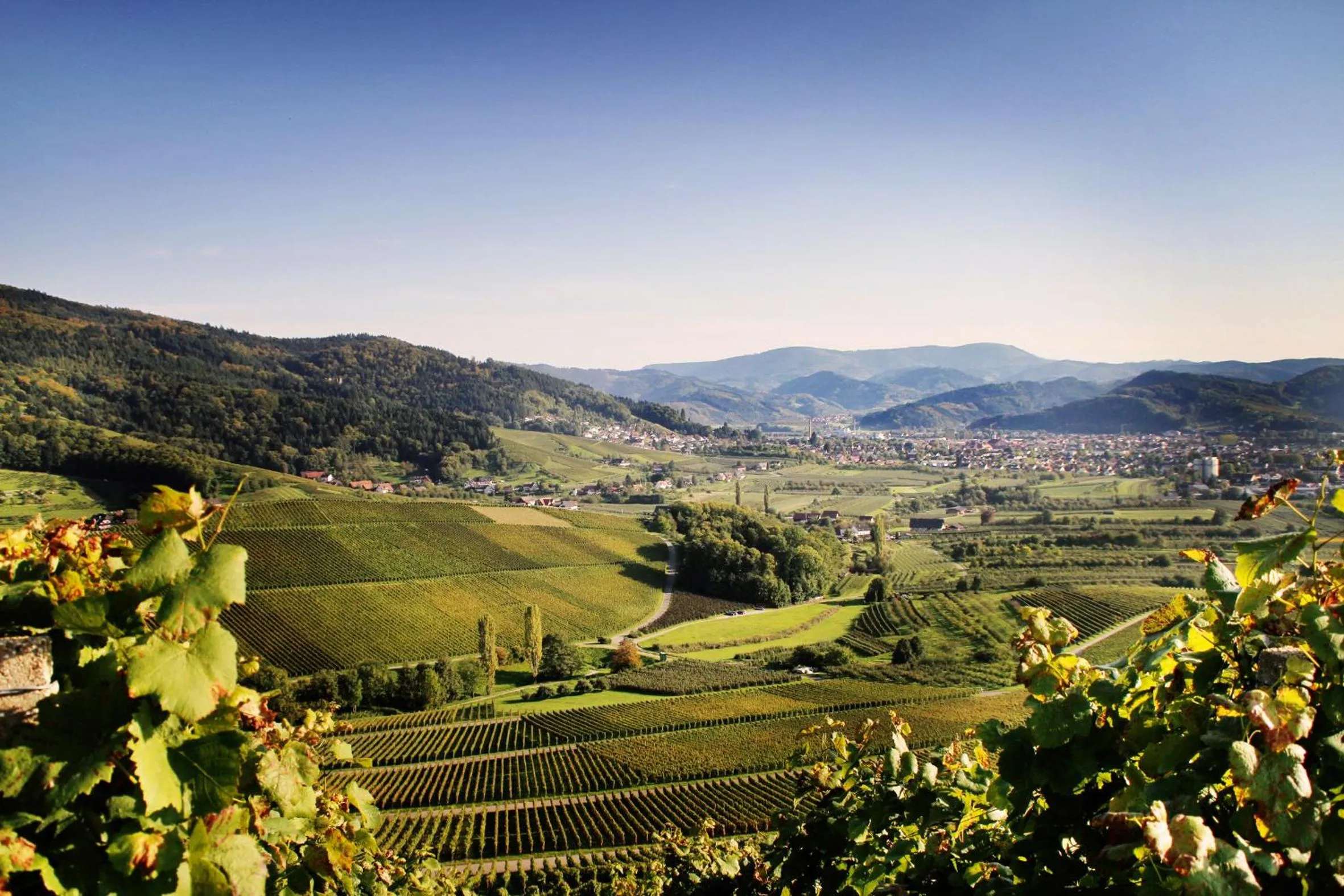 Day in Pflugwirts Hotel und Gasthaus