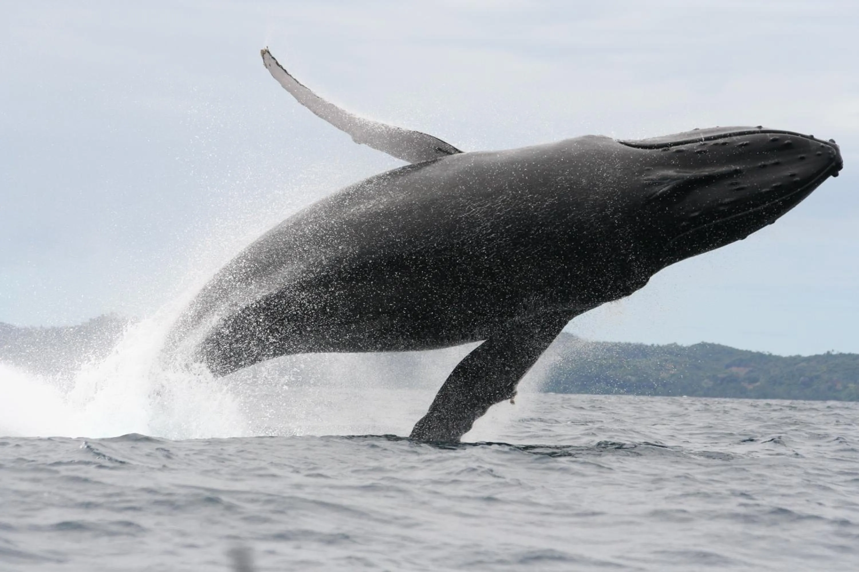 Activities in Idylle Beach