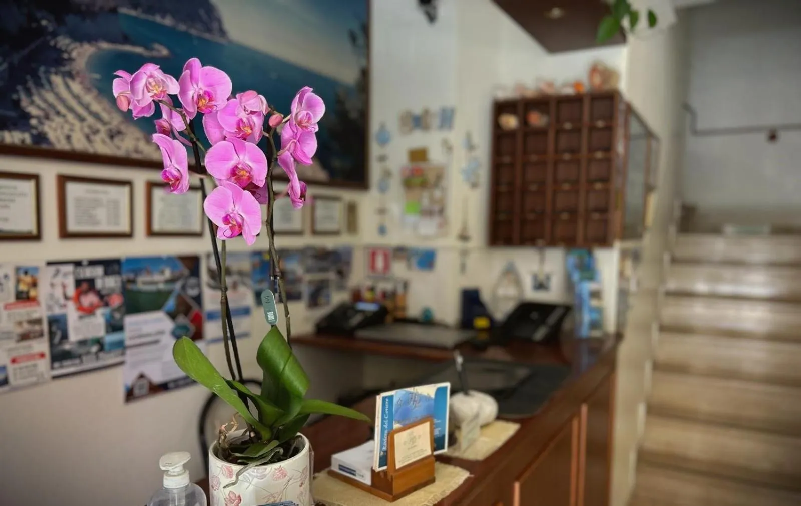 Lobby or reception in Hotel "Il Parco" B&B Sirolo