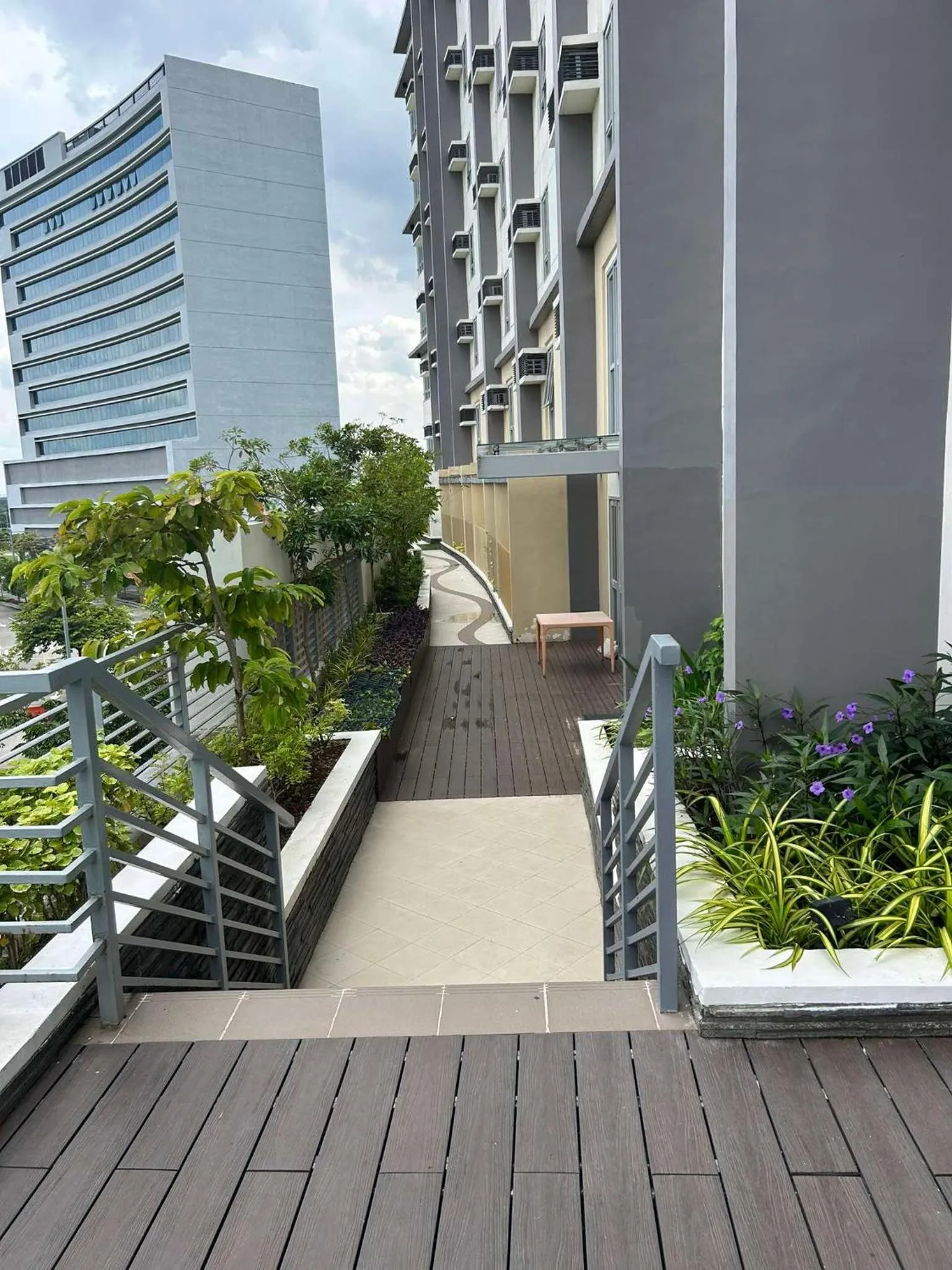 The Verdin at Maple Grove