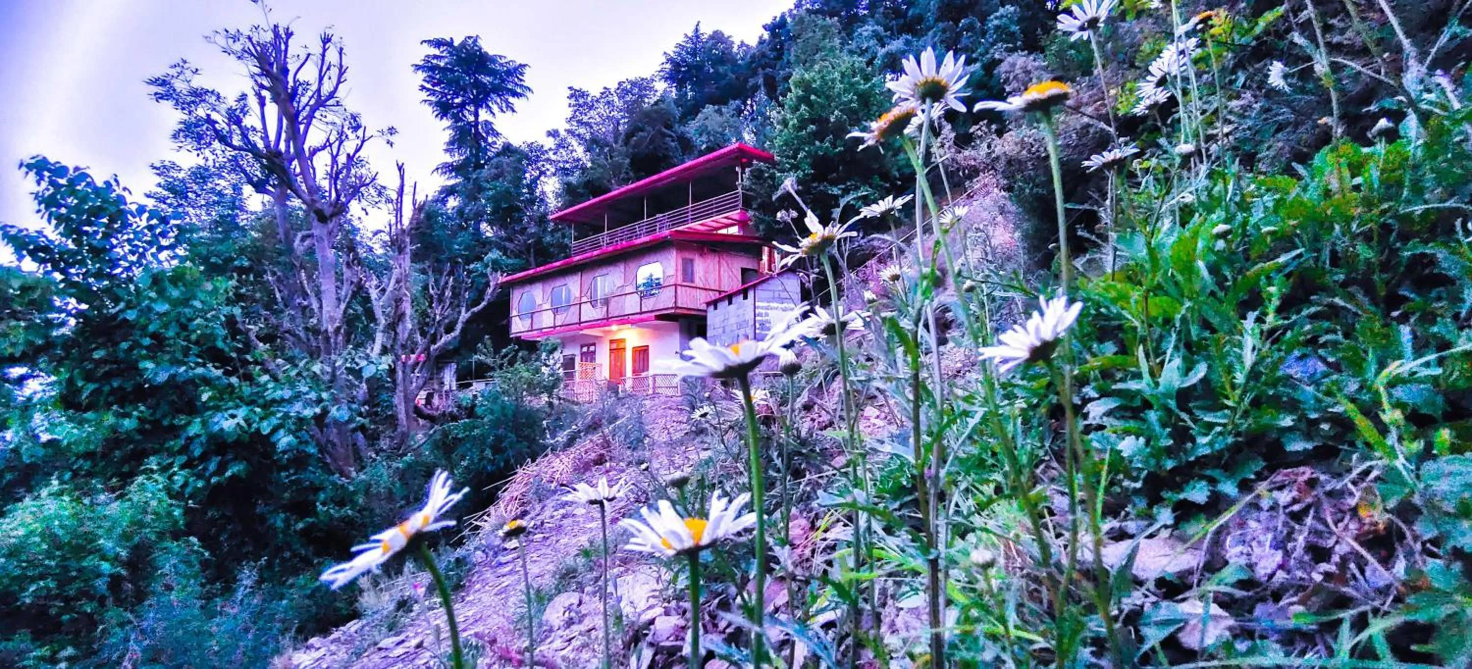Property building in hotel chakrata green and camping