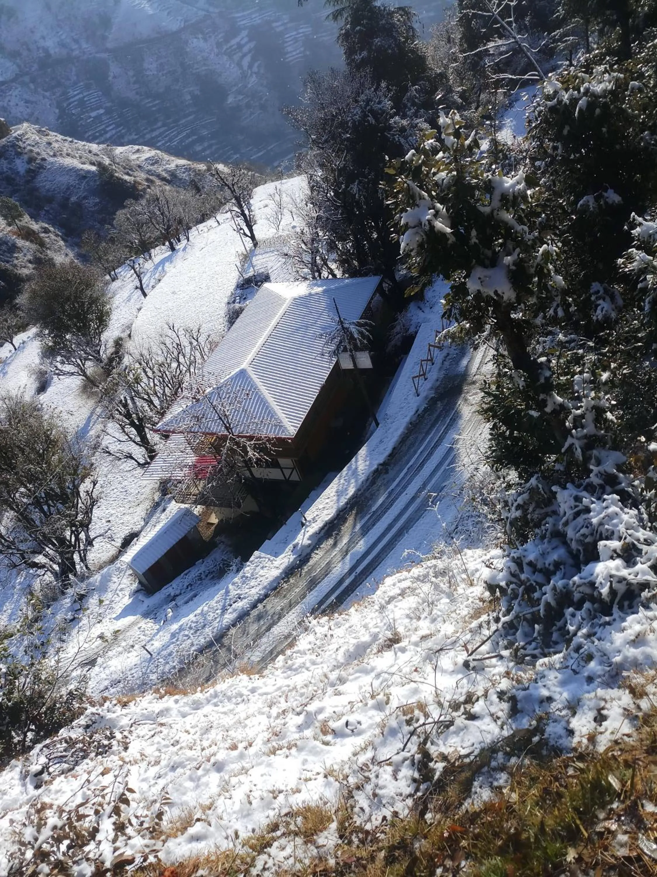Mountain view in hotel chakrata green and camping